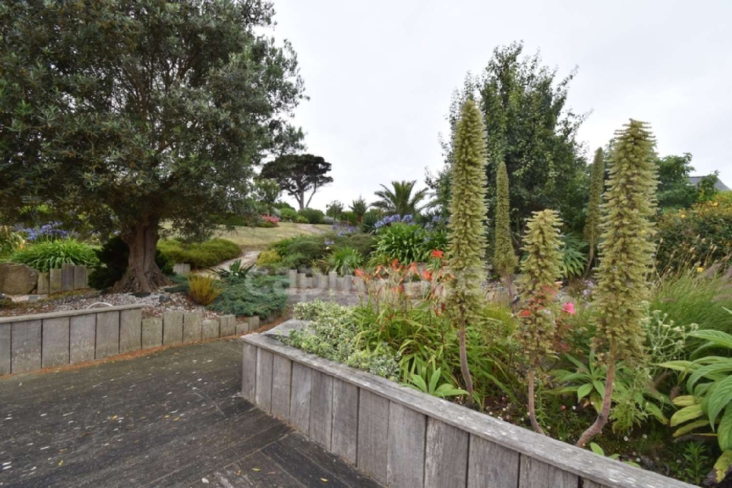  for sale house Kerbors Côtes-d'Armor 2