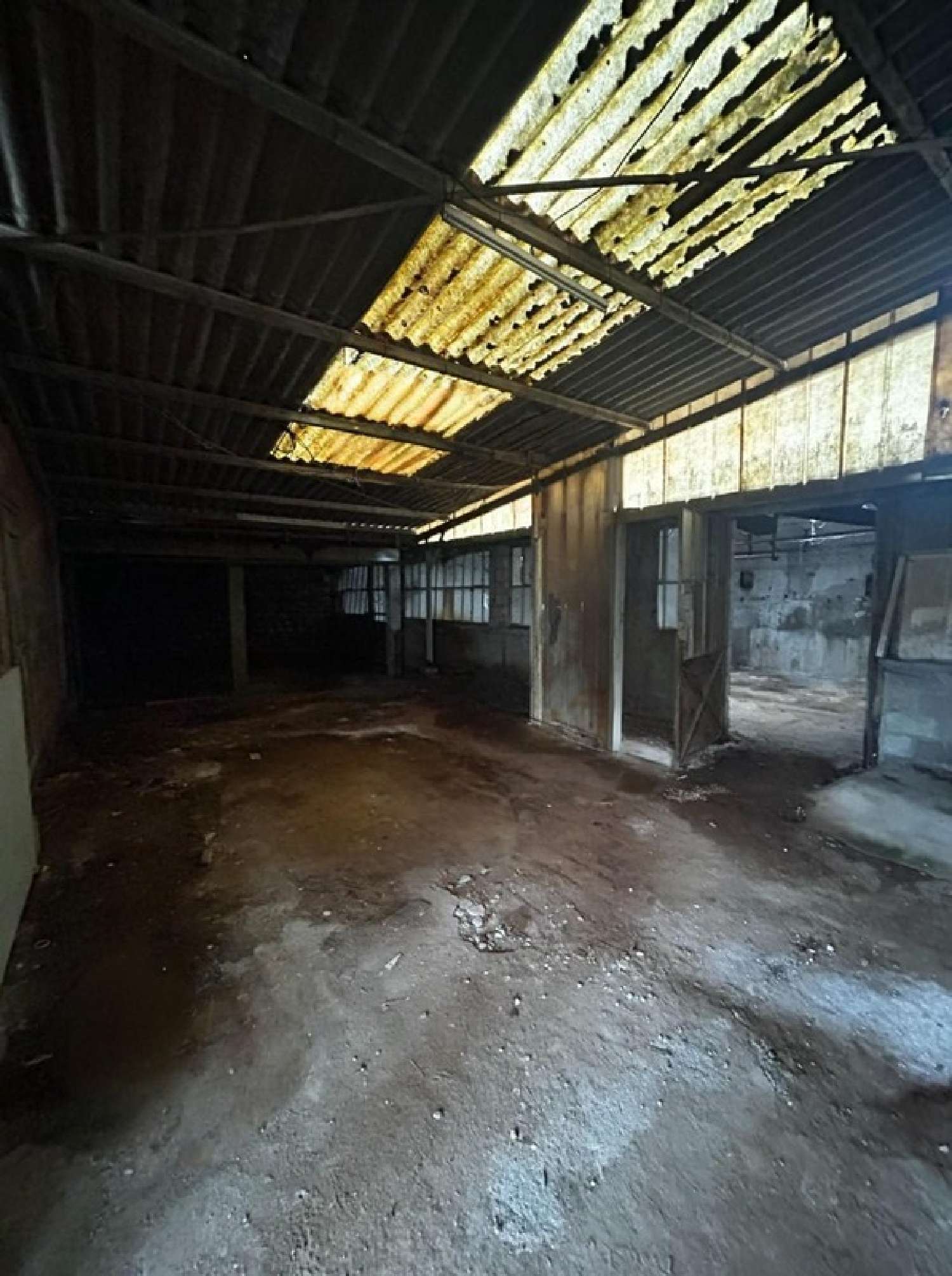 kaufen Haus L'Isle-d'Espagnac Charente 2