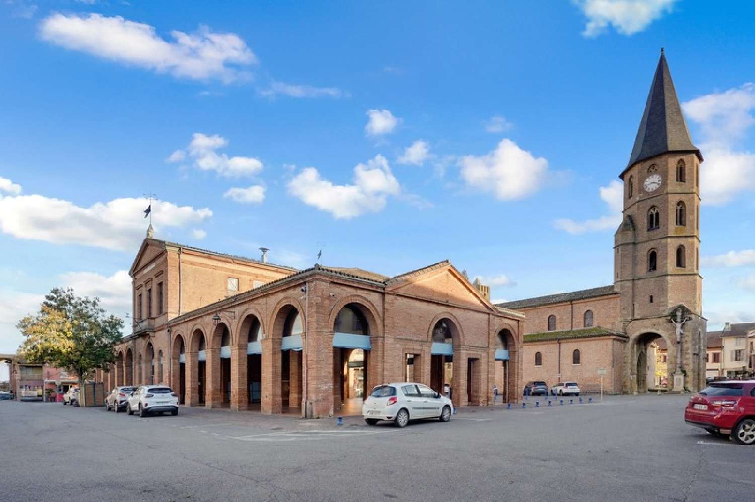  te koop huis L'Isle-en-Dodon Haute-Garonne 1