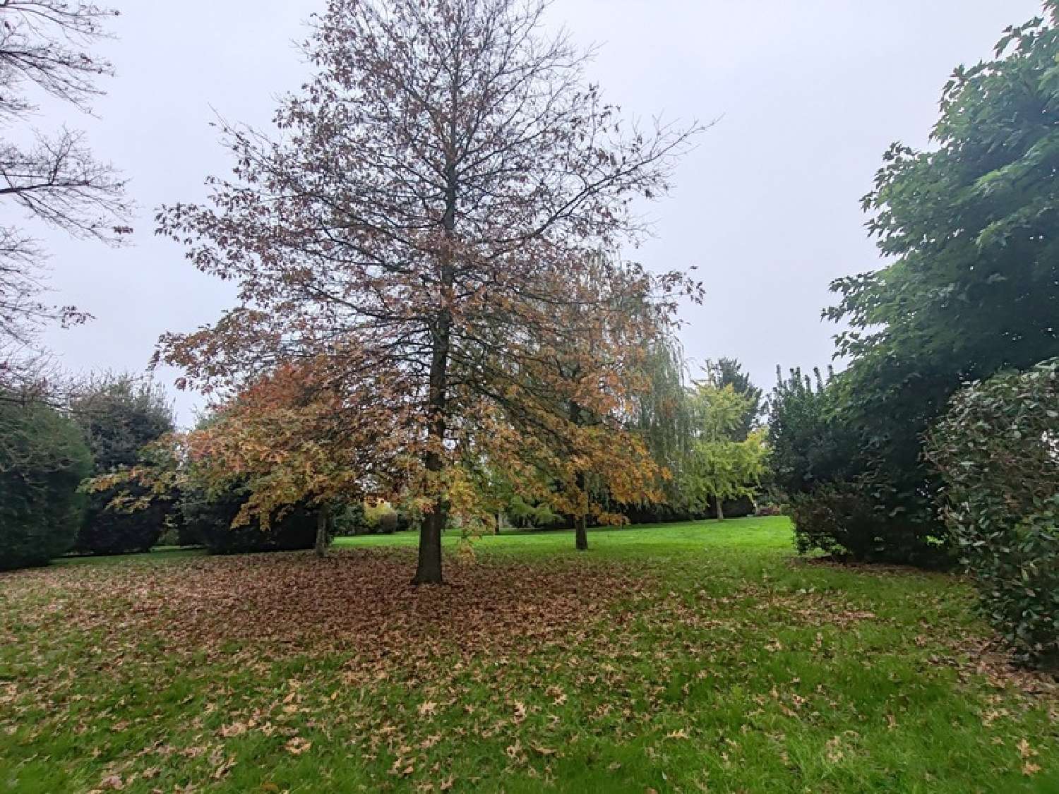  te koop huis L'Oie Vendée 4