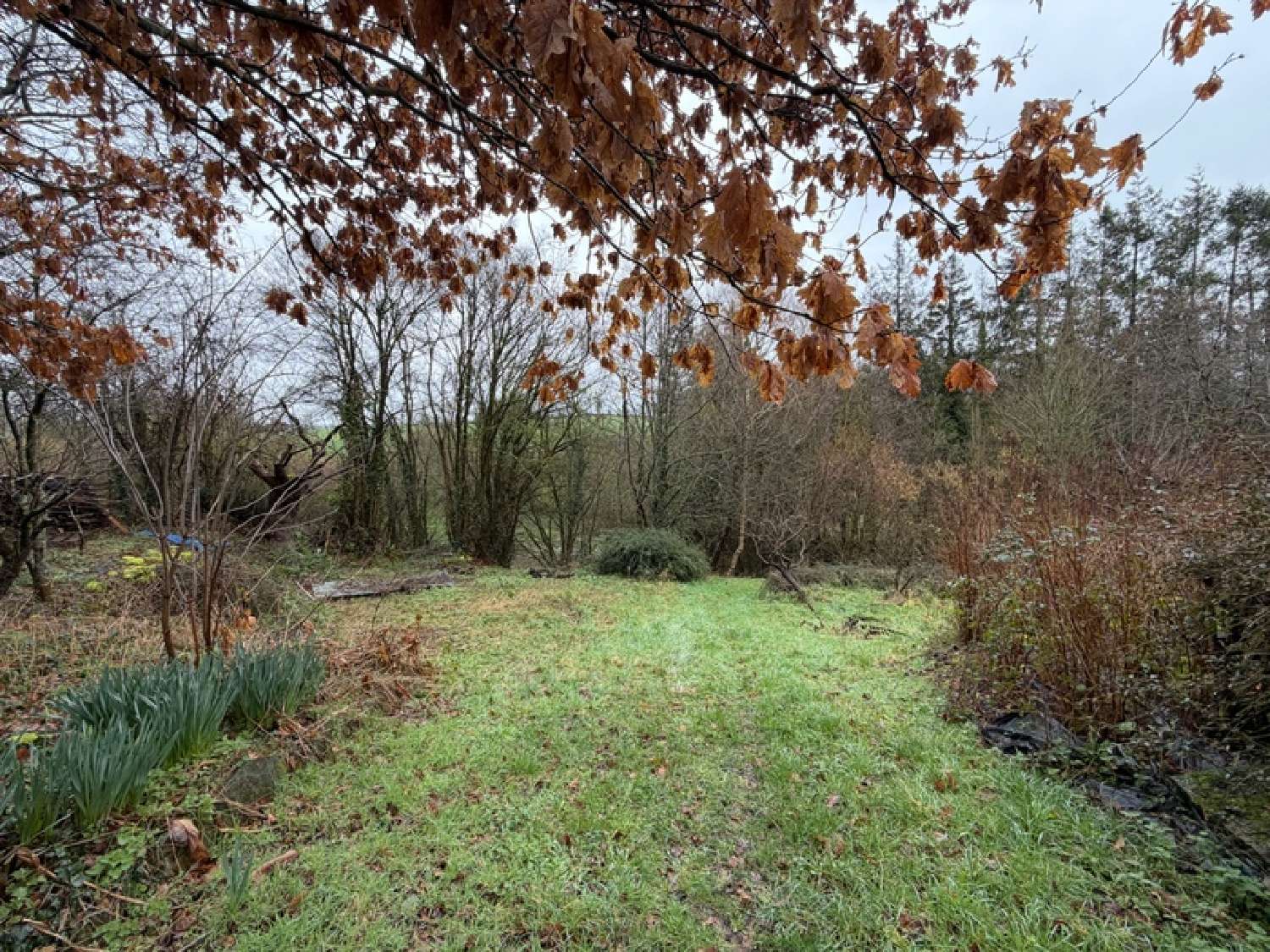 for sale house La Barre-de-Semilly Manche 6