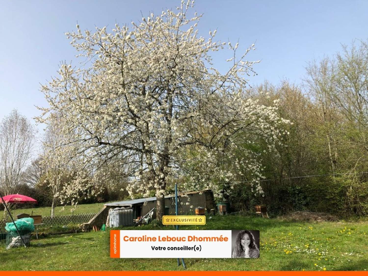  à vendre maison La Chapelle-Souëf Orne 7