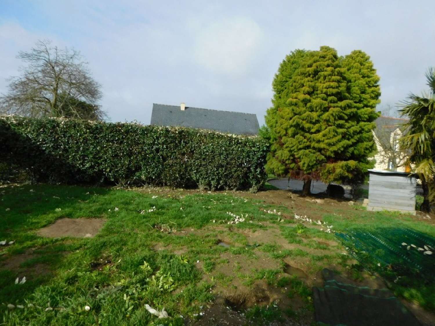 te koop huis La Chapelle-Janson Ille-et-Vilaine 5