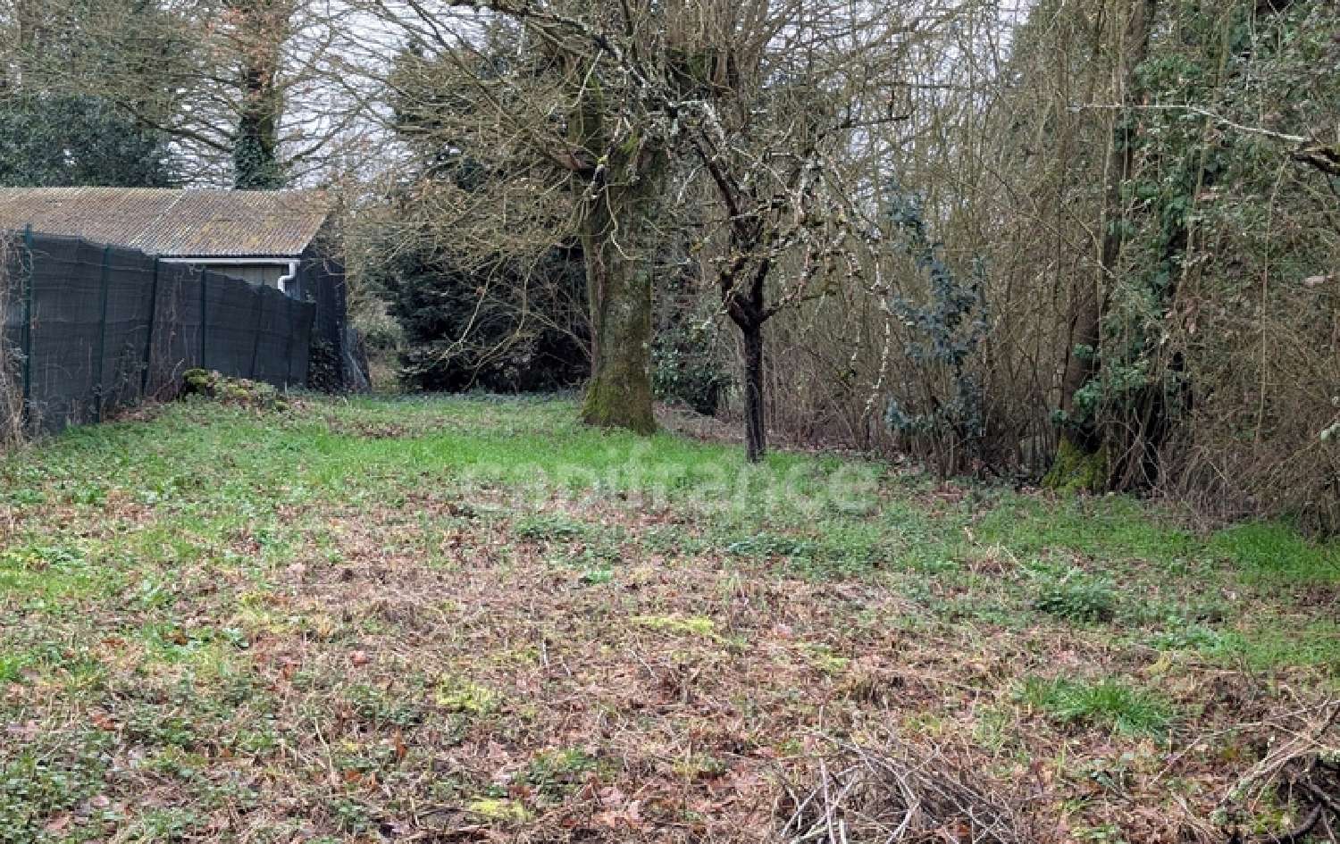  for sale house La Gacilly Morbihan 7