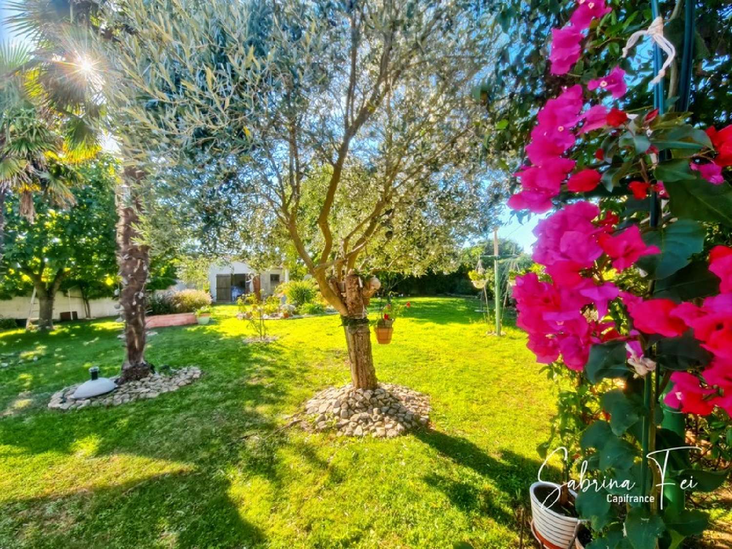 te koop huis Lagord Charente-Maritime 3