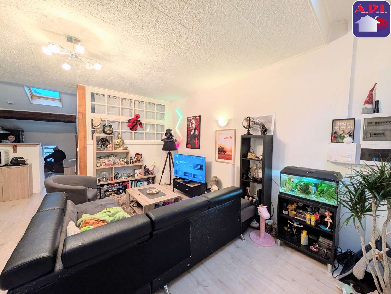  à vendre maison Lavelanet Ariège 1