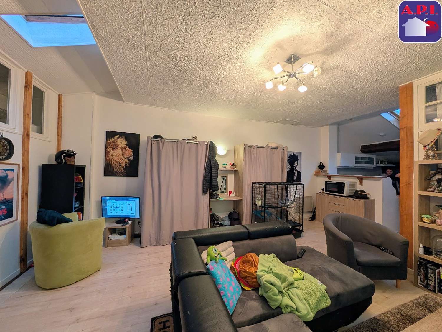  à vendre maison Lavelanet Ariège 2