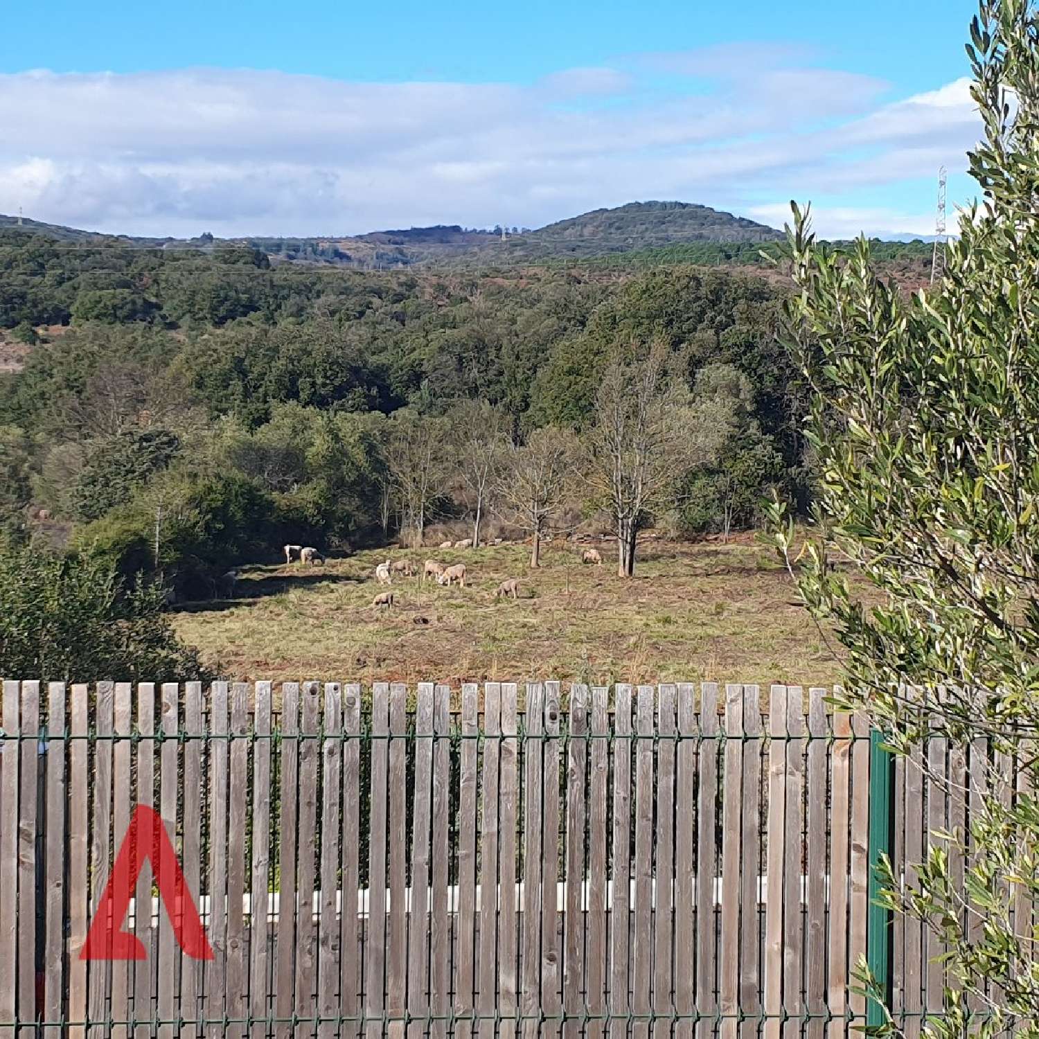  te koop huis Le Bosc Hérault 4