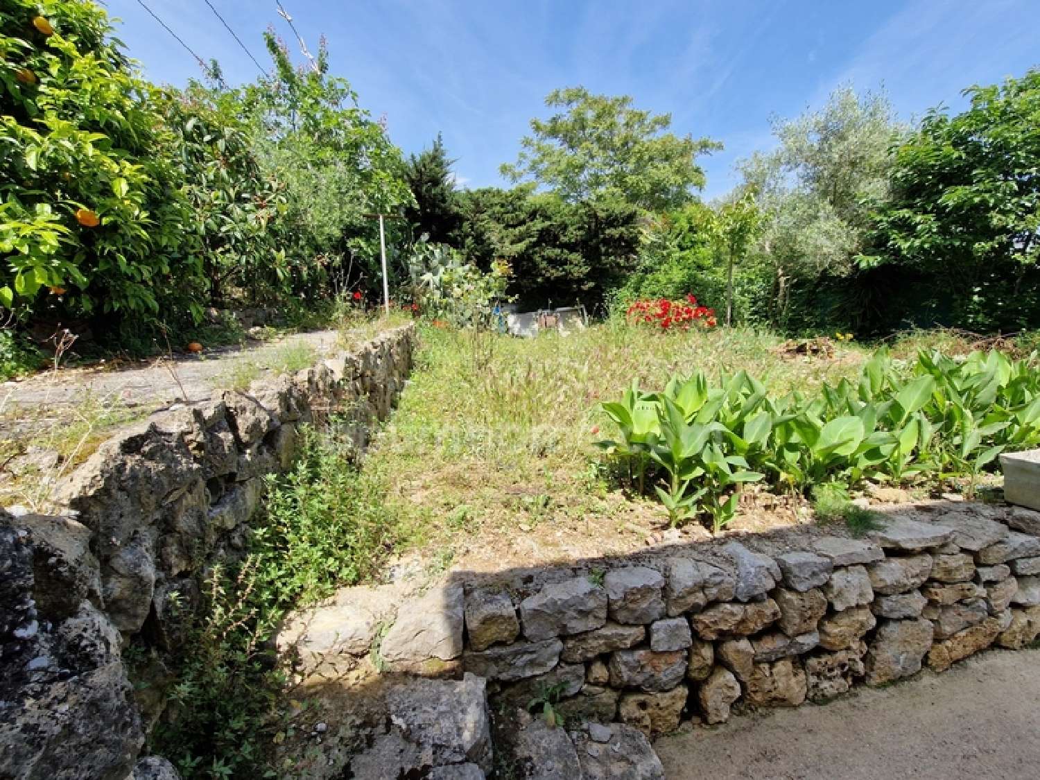  kaufen Haus Le Cannet Alpes-Maritimes 3