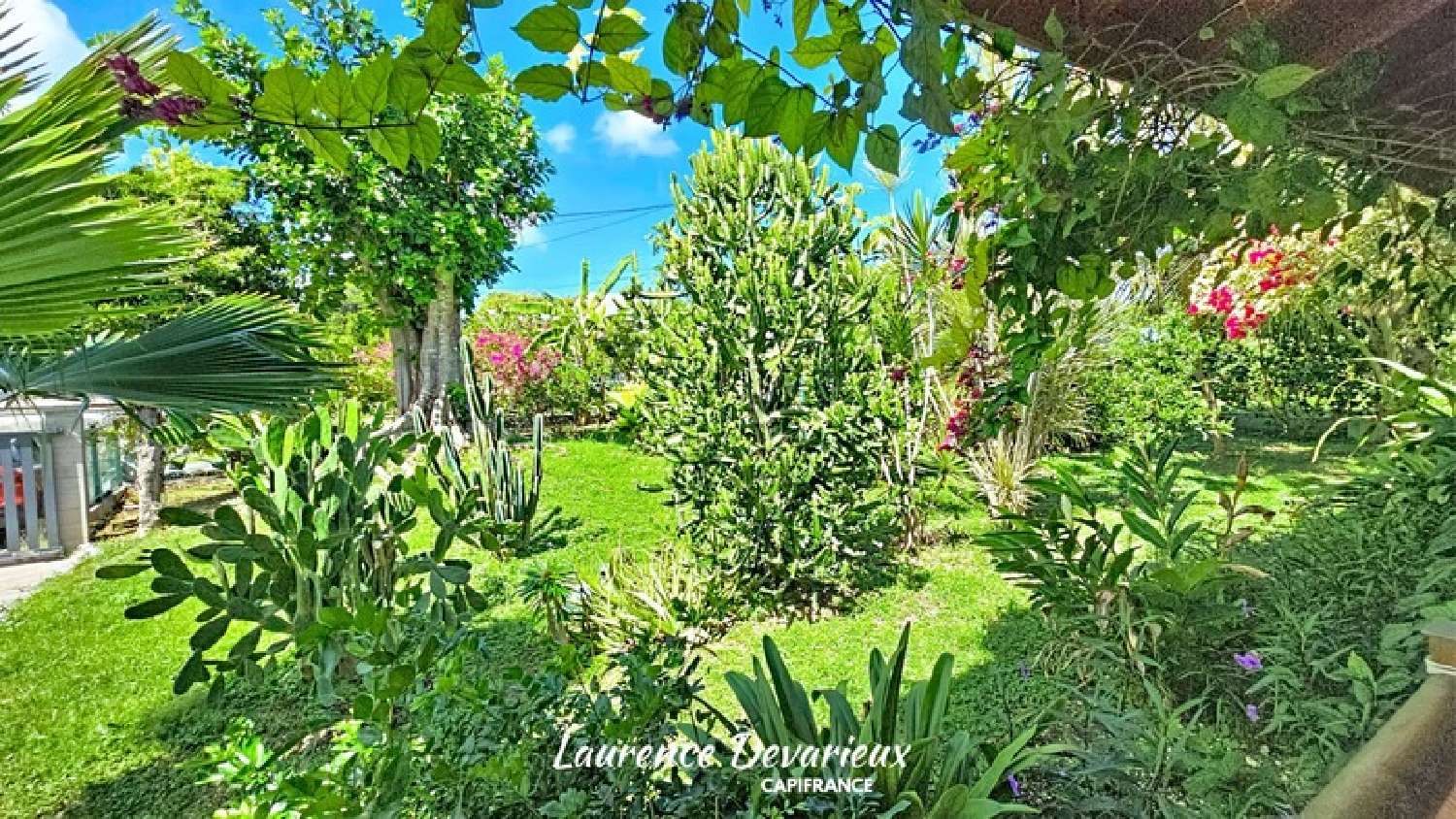  à vendre maison Le Moule Guadeloupe 3