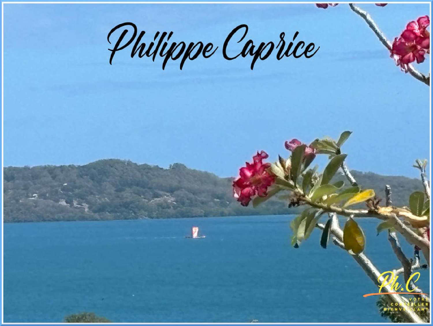  à vendre maison Le Robert Martinique 8