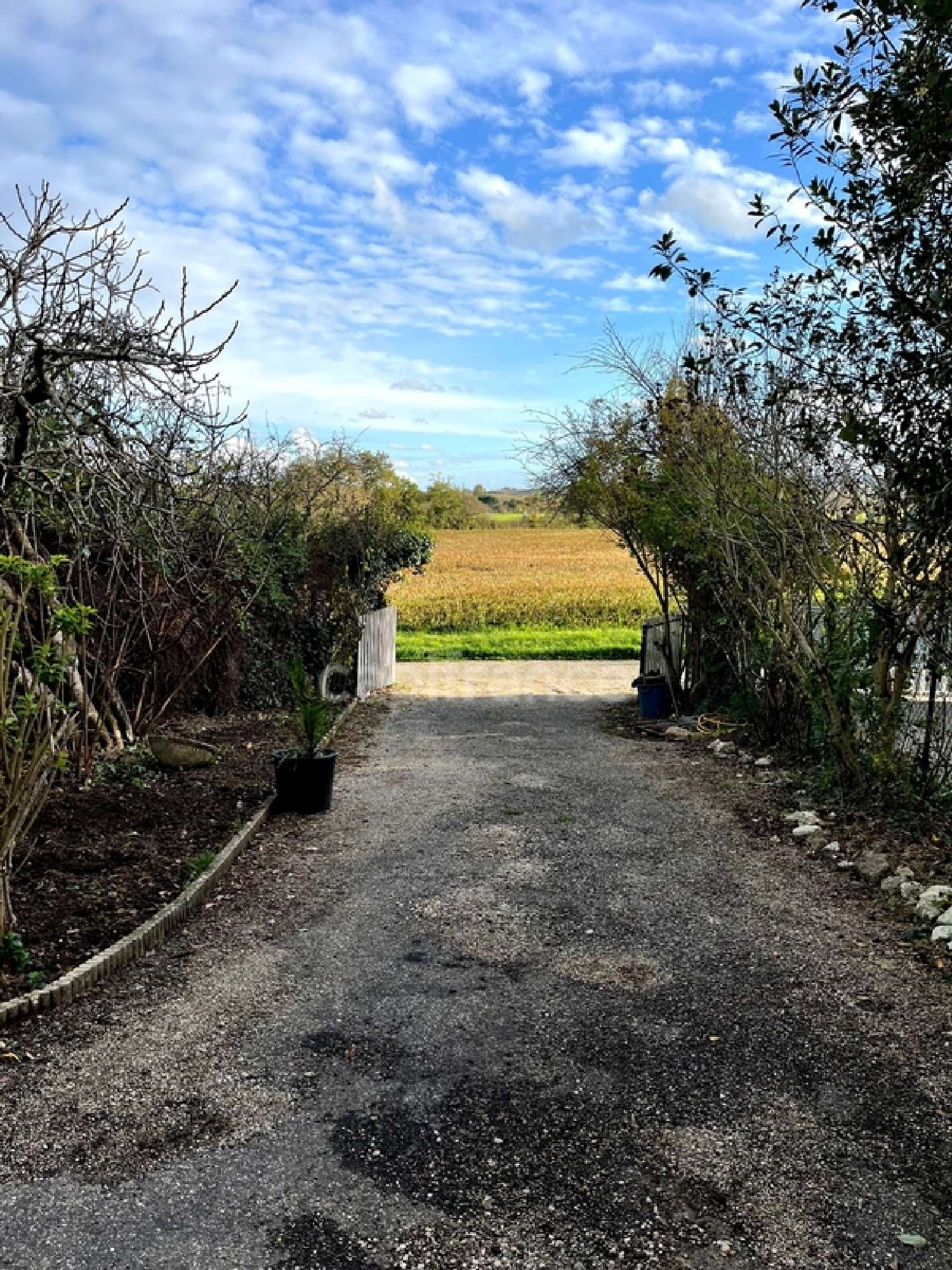 te koop huis Lectoure Gers 3