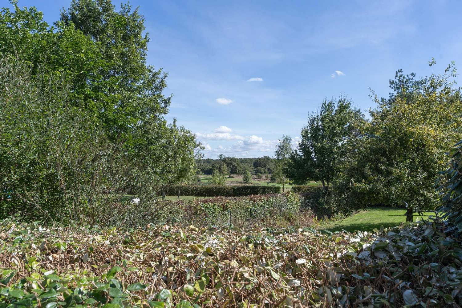  te koop huis Les Forges Deux-Sèvres 10