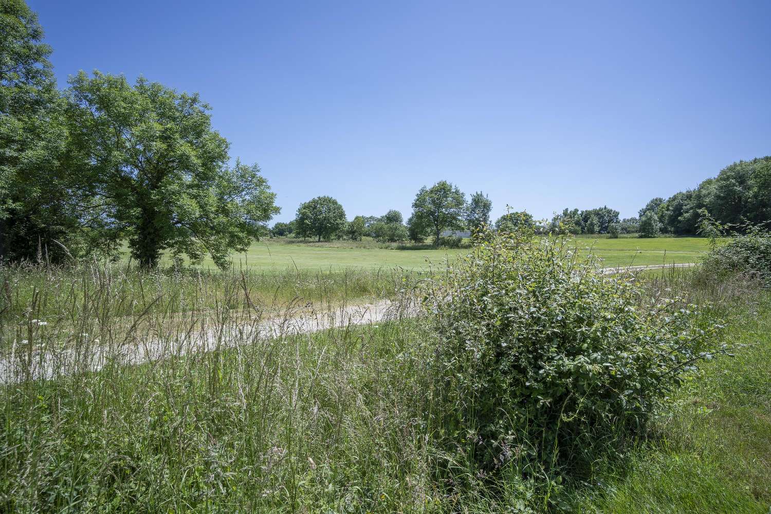  kaufen Haus Les Forges Vogesen 9