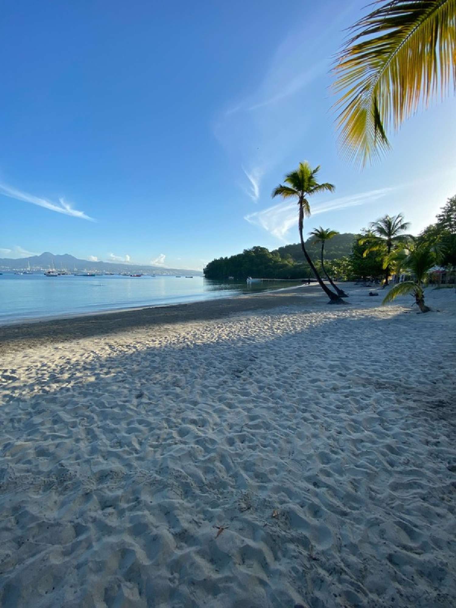  te koop huis Les Trois-Îlets Martinique 2