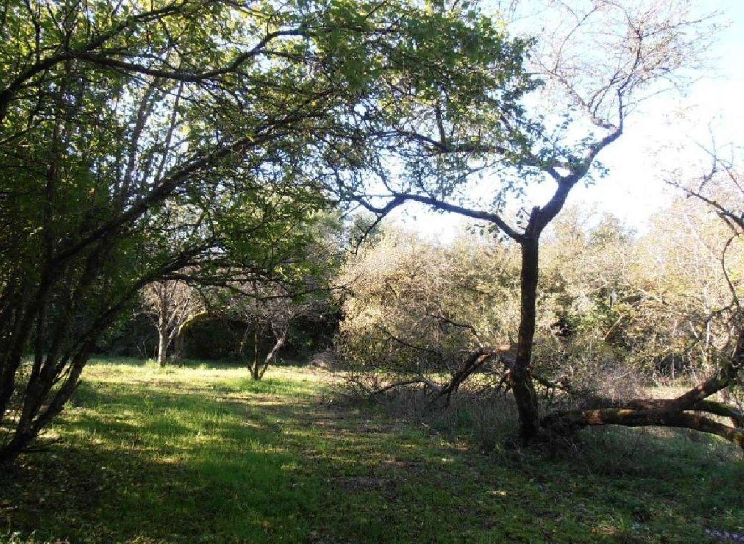  for sale house Lezay Deux-Sèvres 4