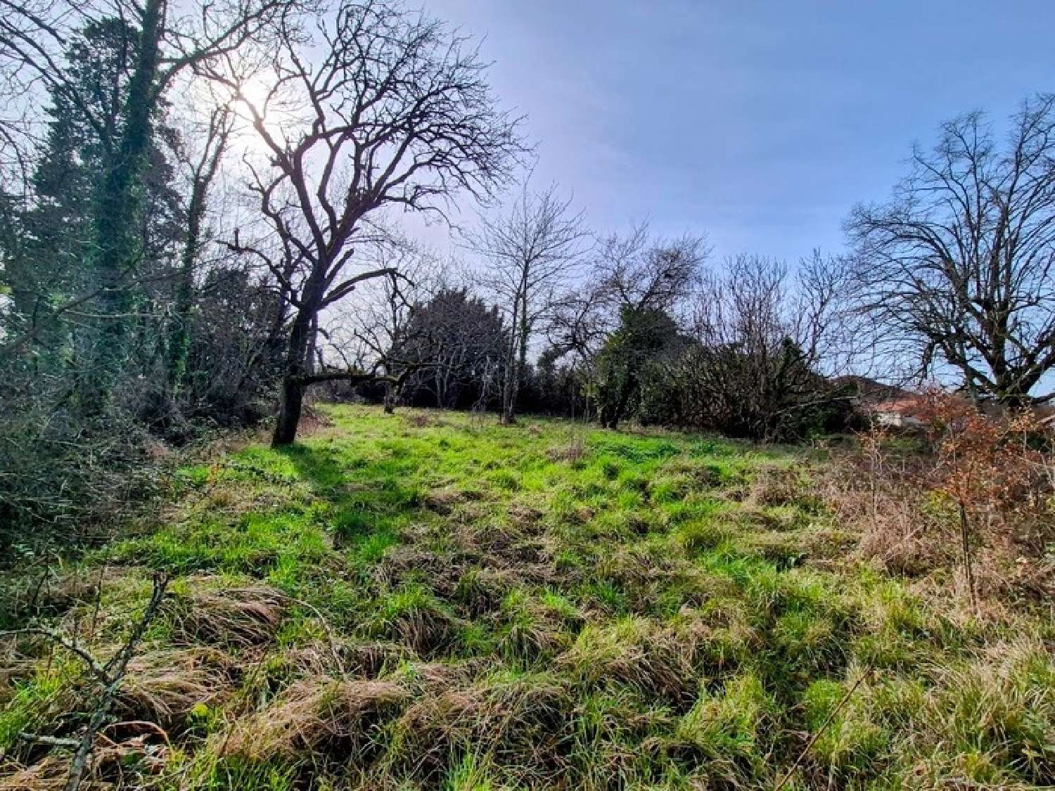  te koop huis Ligardes Gers 5