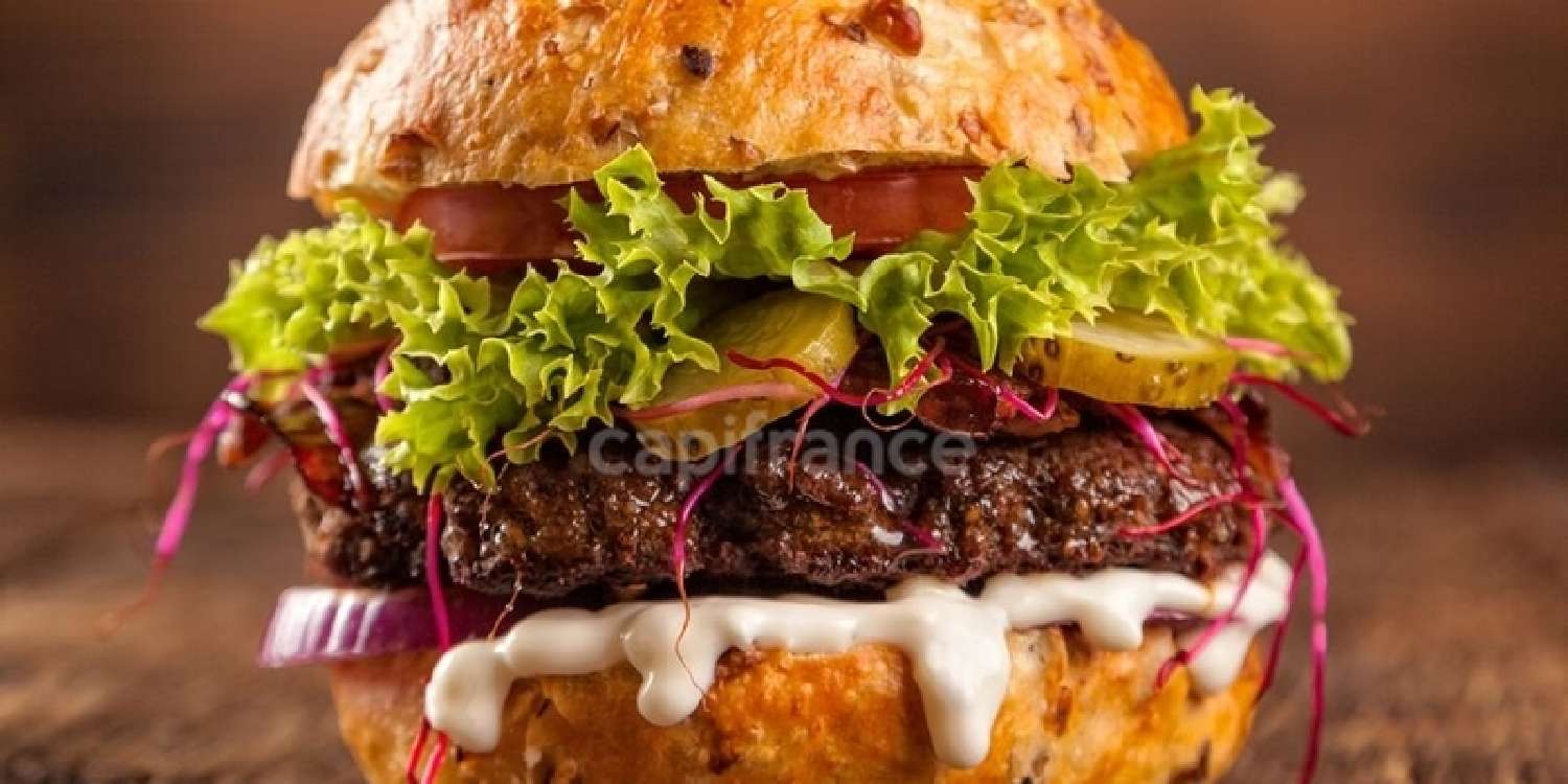 kaufen Haus Lille Nord 2