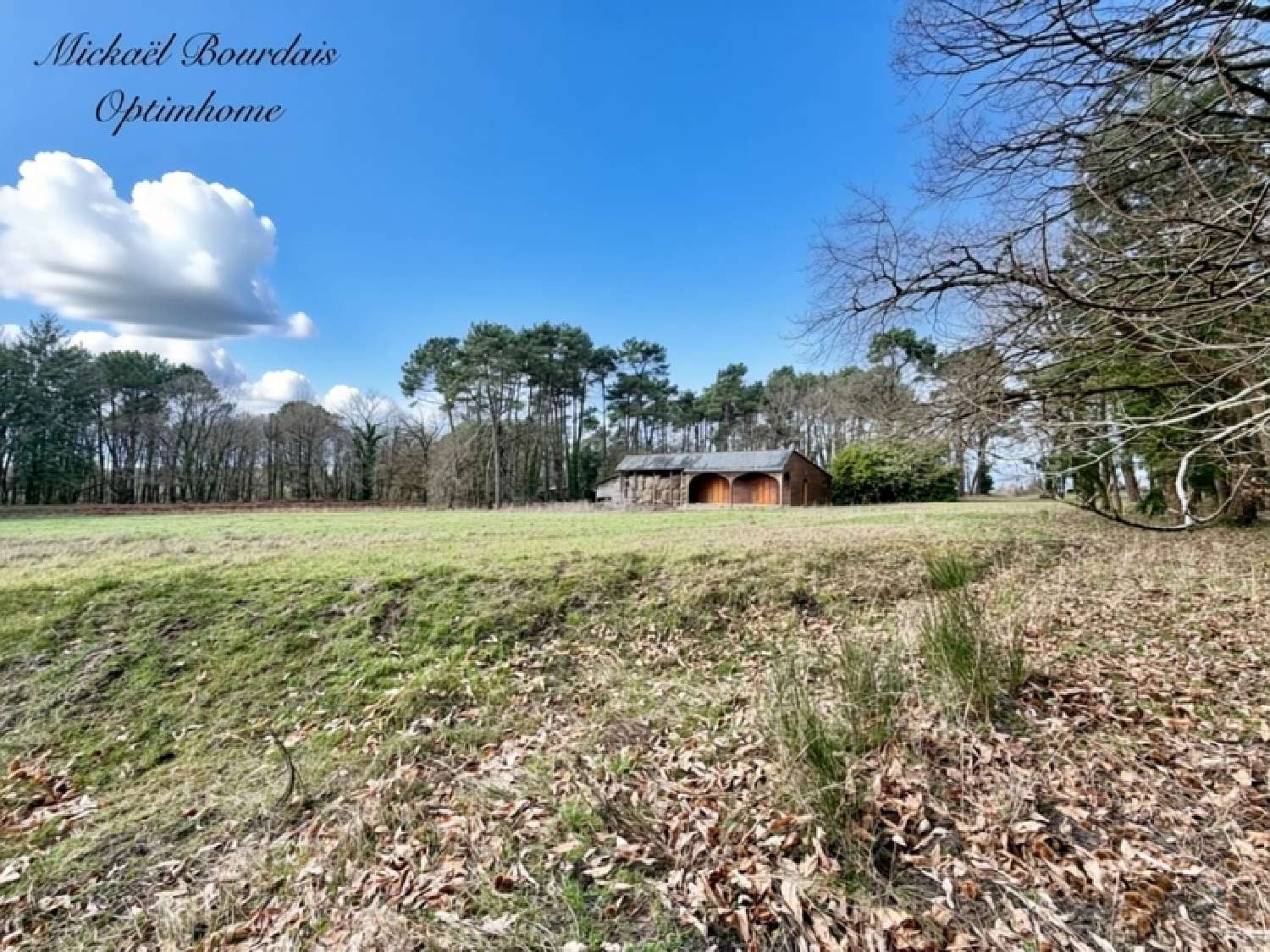  kaufen Haus Linières-Bouton Maine-et-Loire 5
