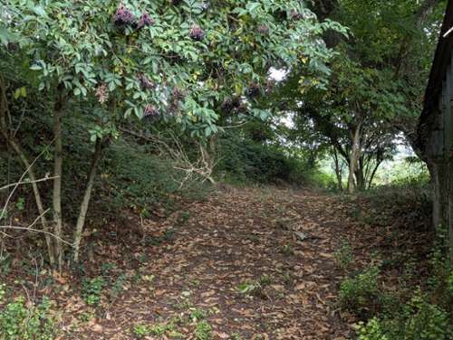  kaufen Haus Locarn Côtes-d'Armor 7