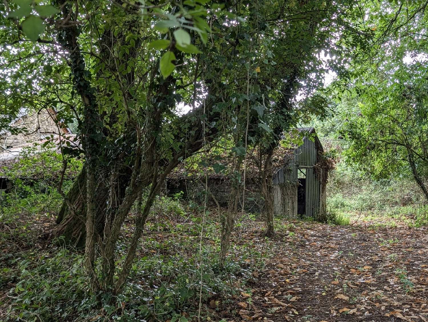  te koop huis Locarn Côtes-d'Armor 8