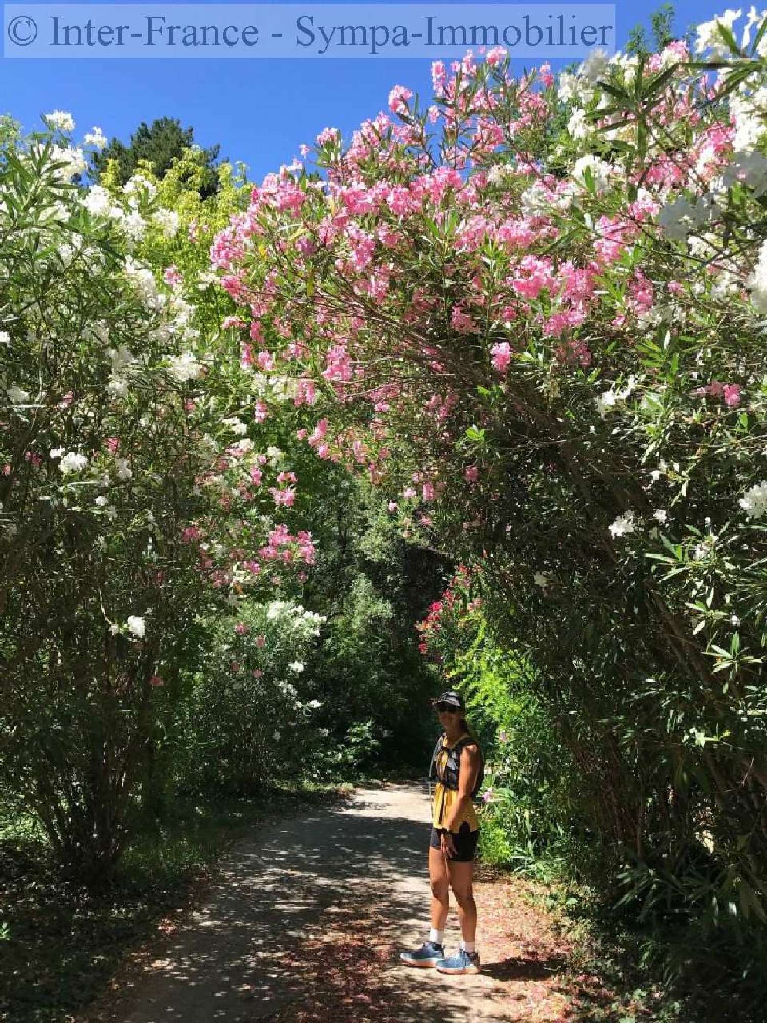  te koop huis Lodève Hérault 5