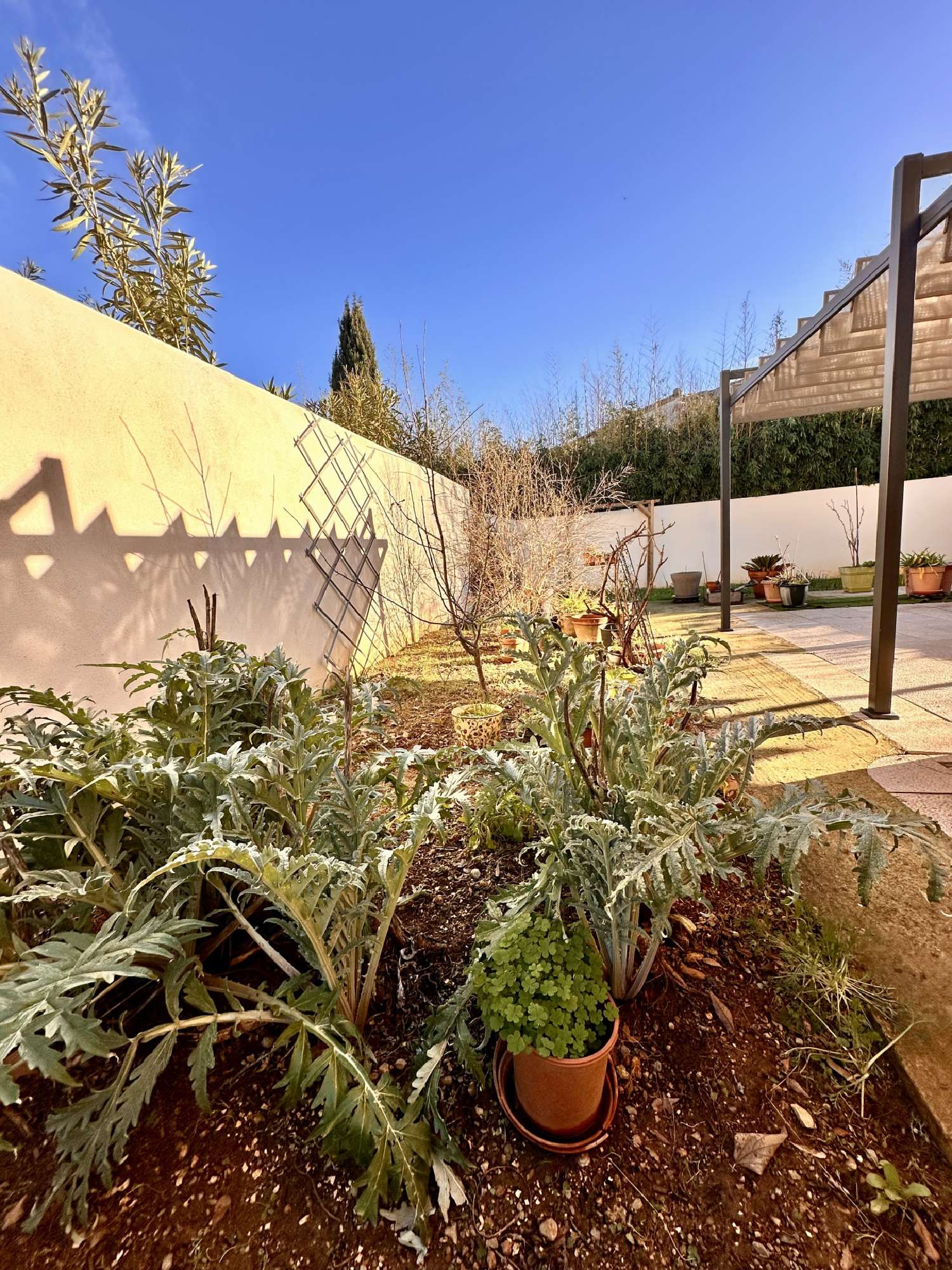  te koop huis Lunel Hérault 2