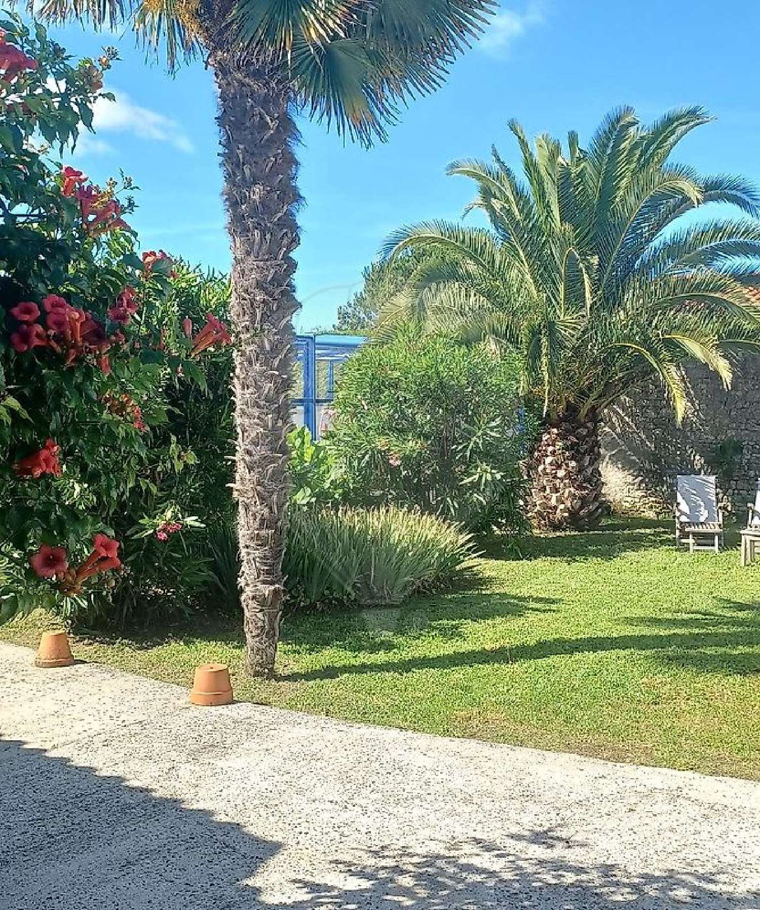  à vendre maison Marennes Charente-Maritime 3