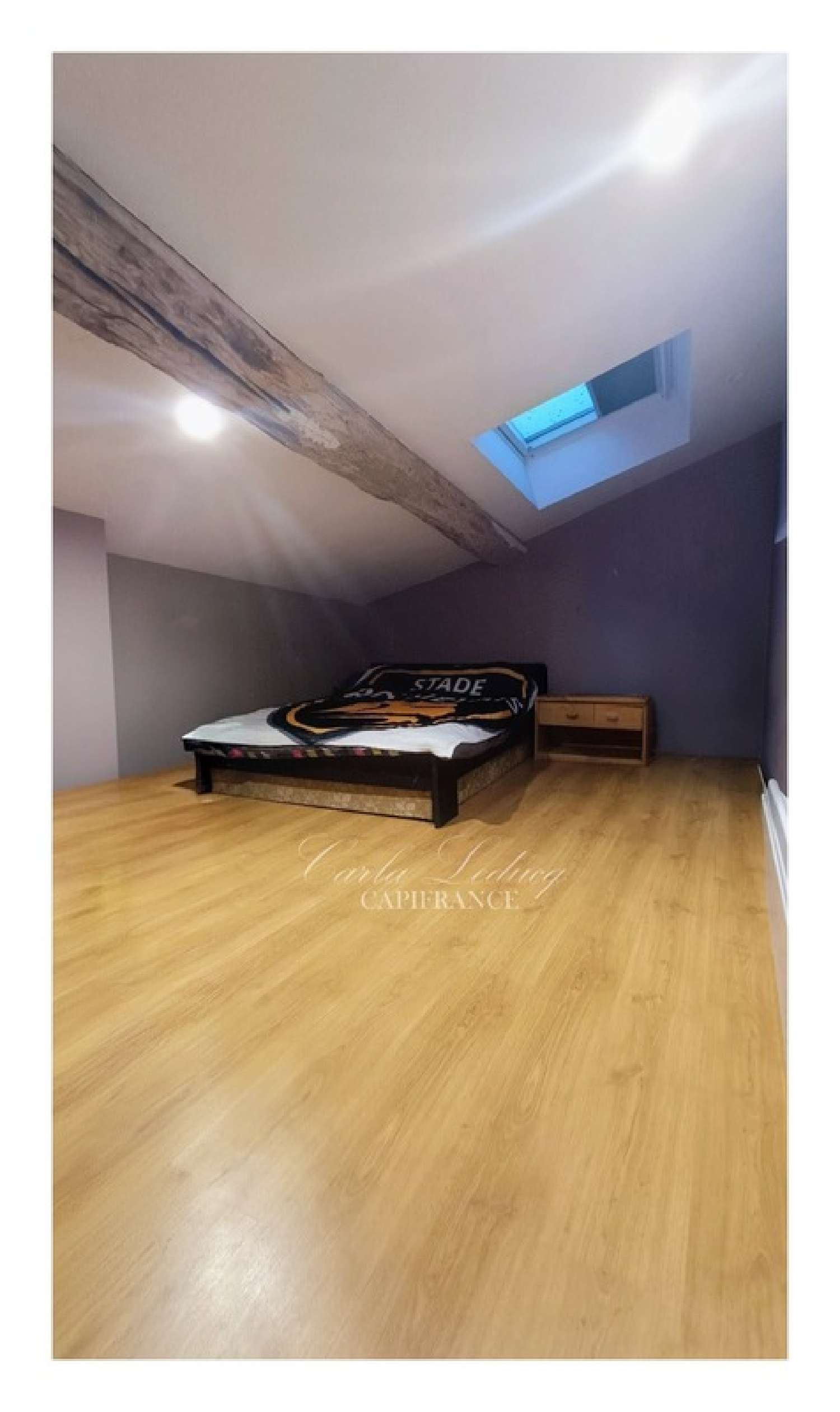  for sale house Marsais Charente-Maritime 8