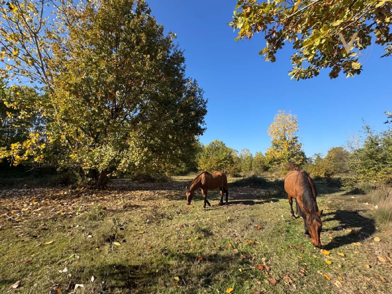  te koop huis Merles Tarn-et-Garonne 7