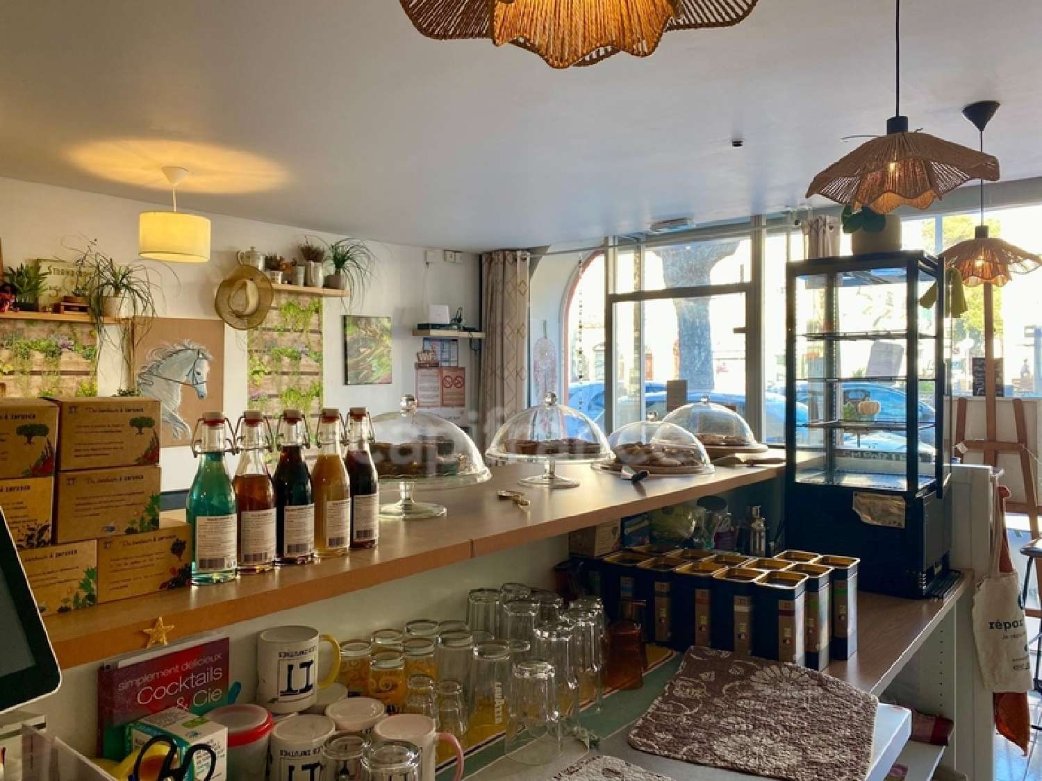 for sale house Mèze Hérault 3