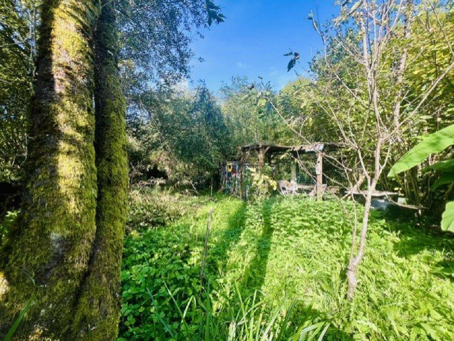 te koop huis Monestiès Tarn 3