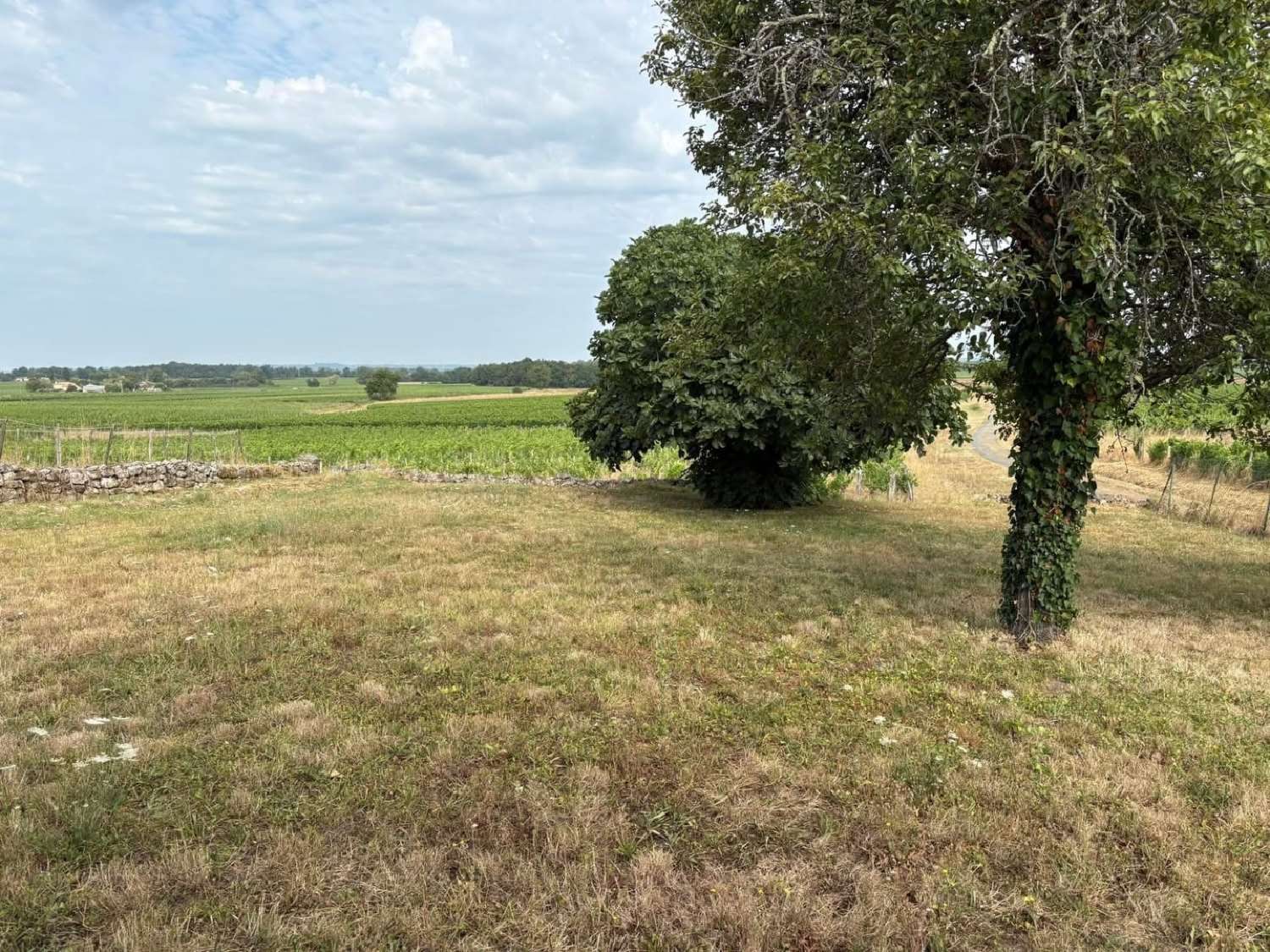  te koop huis Montagne Gironde 3