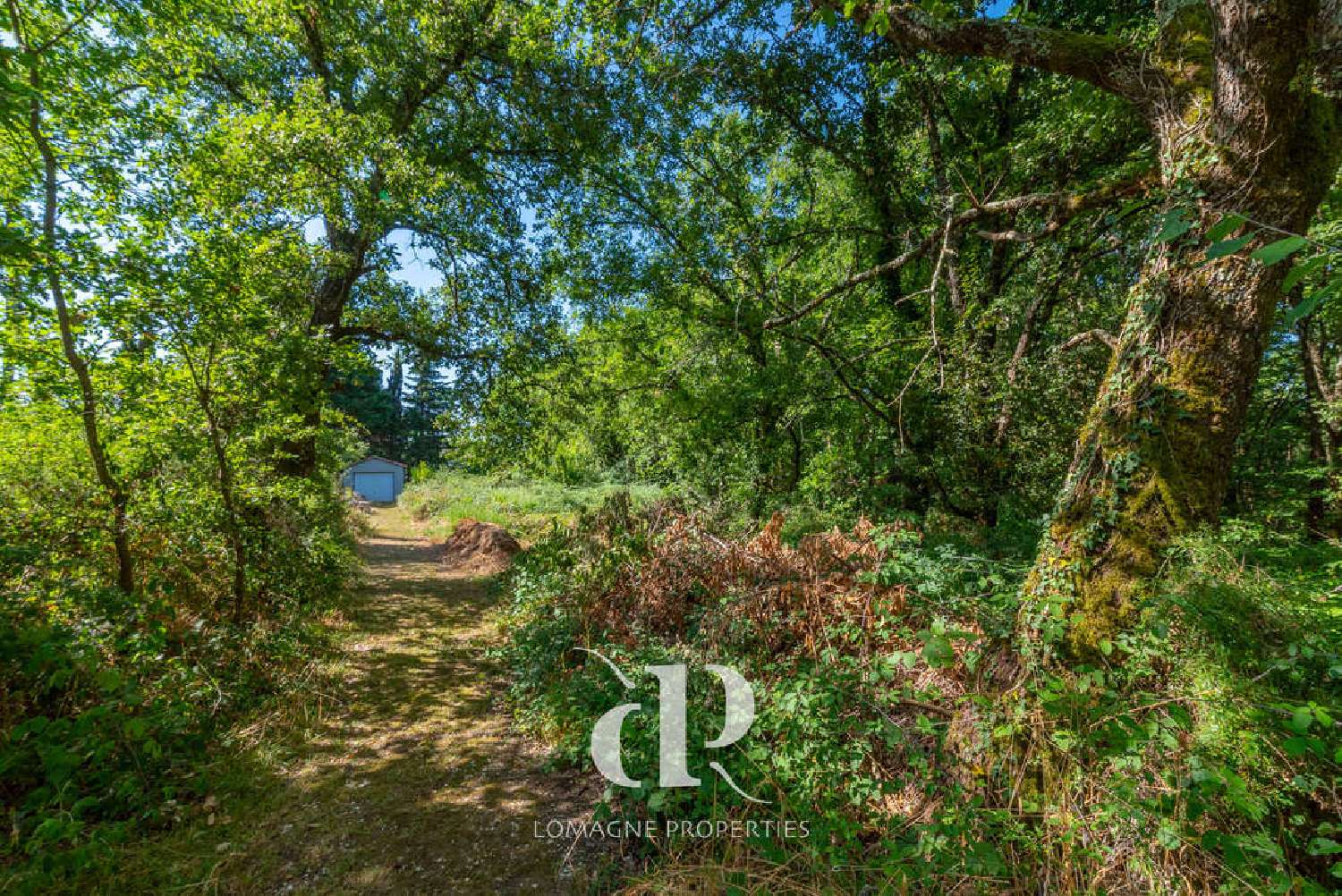  kaufen Haus Montauban Tarn-et-Garonne 4