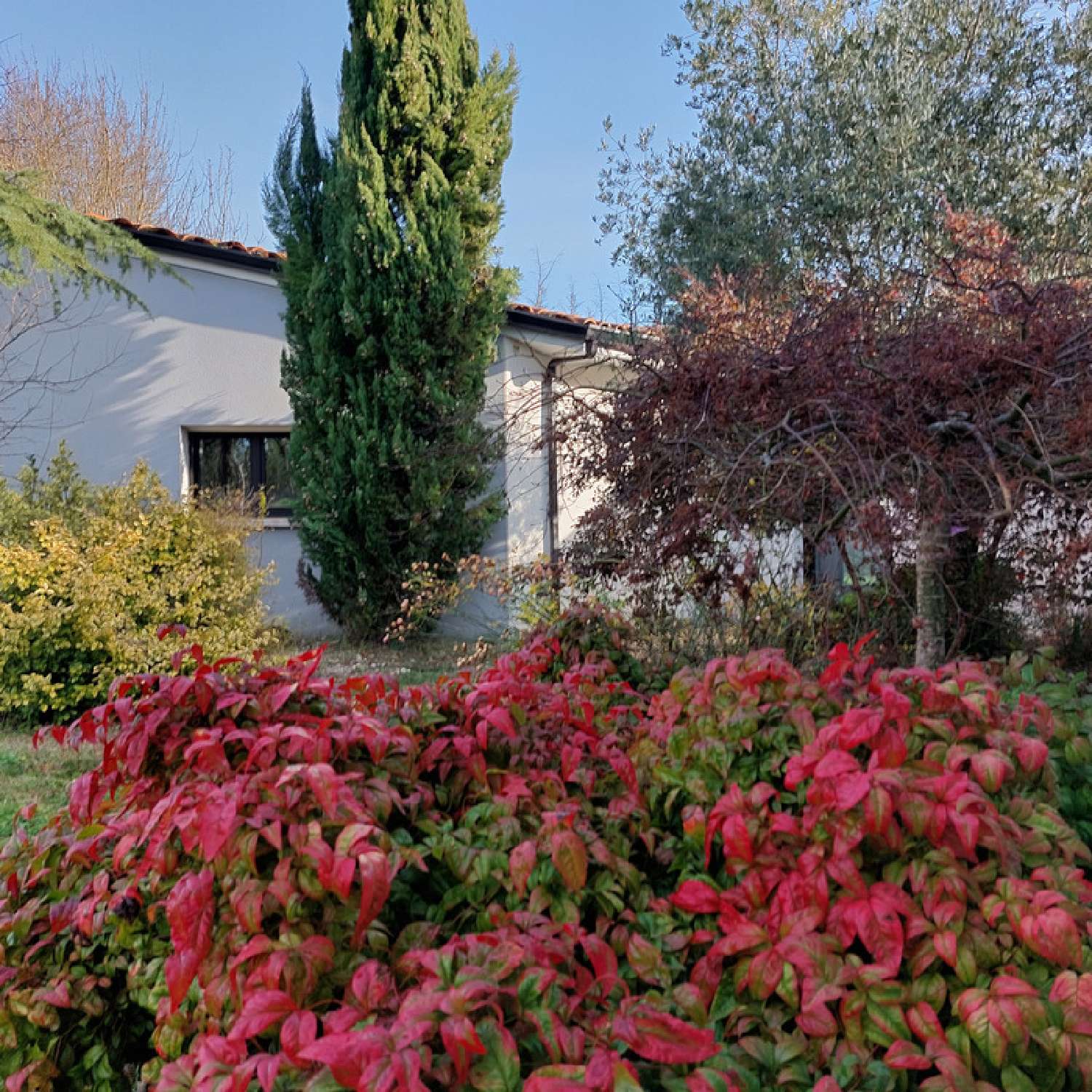  à vendre maison Montauban Tarn-et-Garonne 3