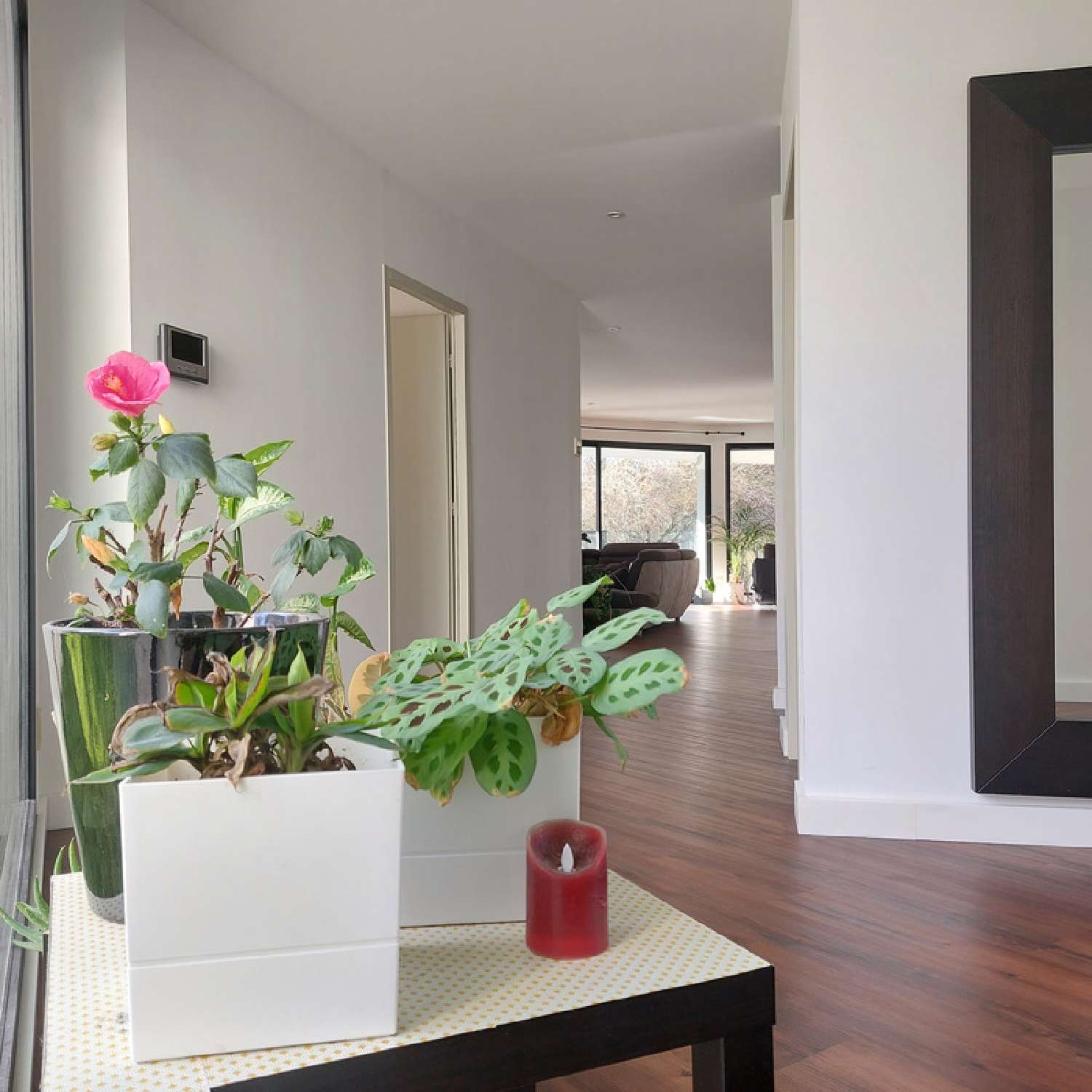  à vendre maison Montauban Tarn-et-Garonne 4