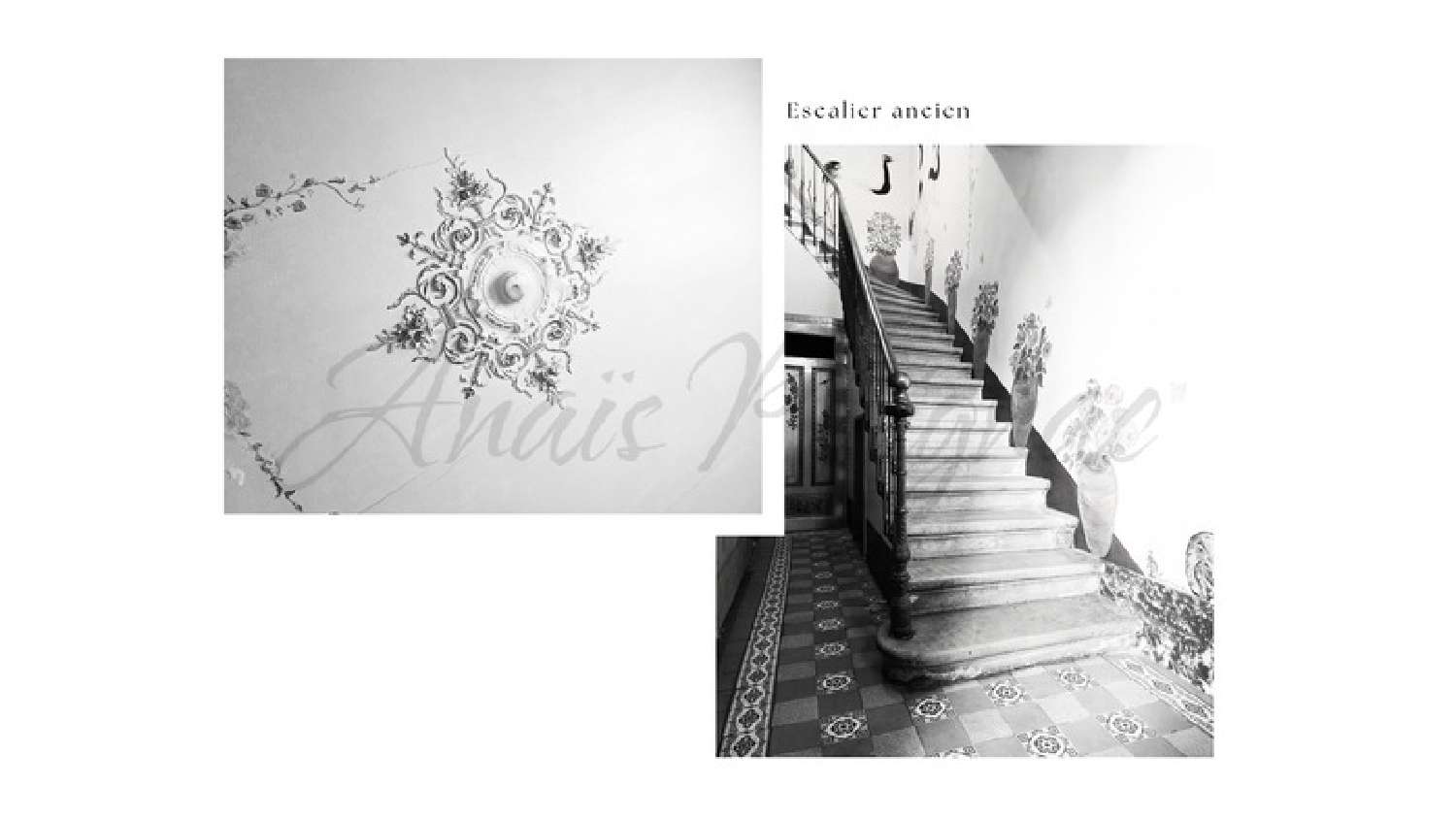 te koop huis Montélimar Drôme 3