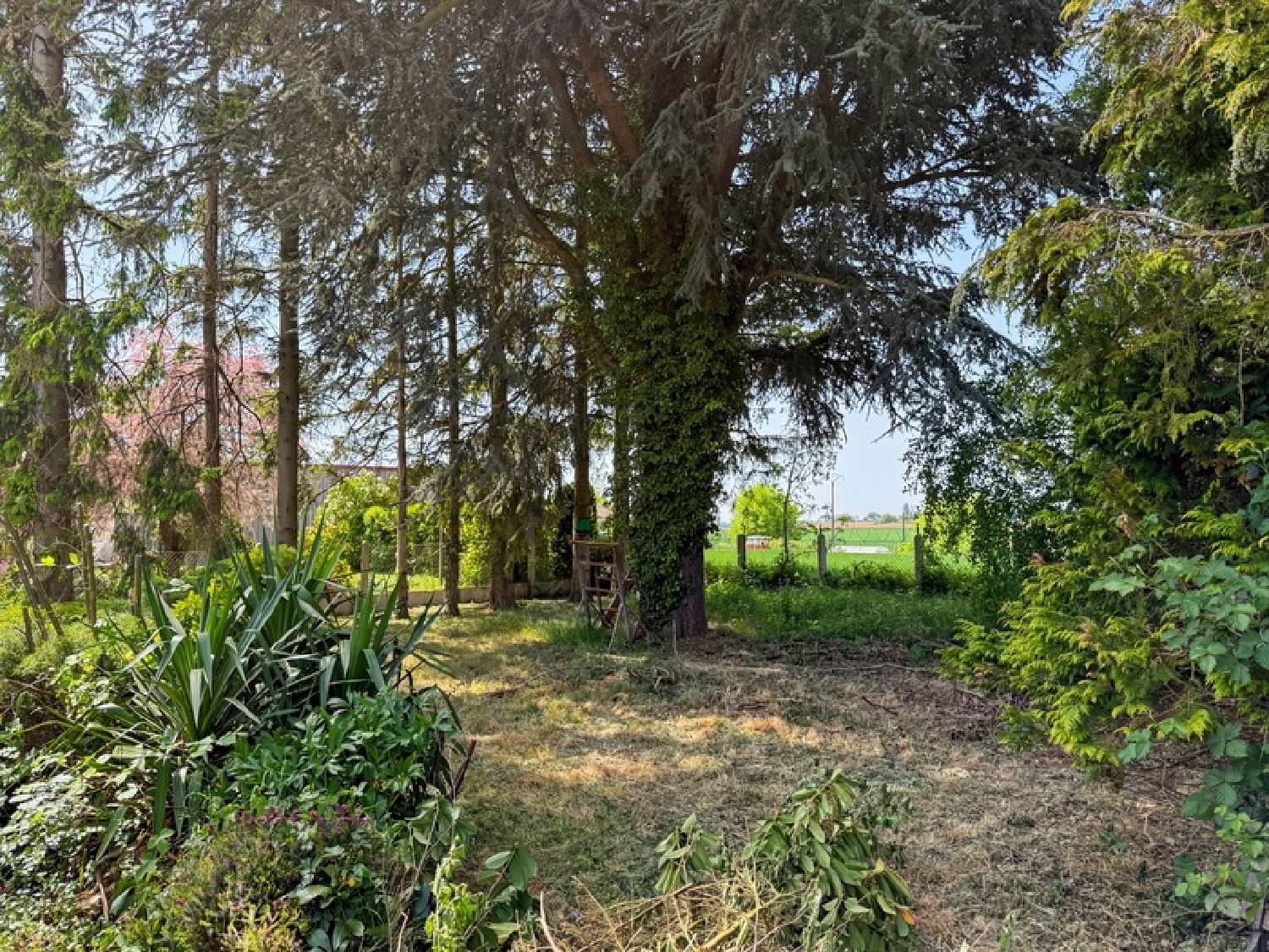  à vendre maison Montigny-en-Cambrésis Nord 2