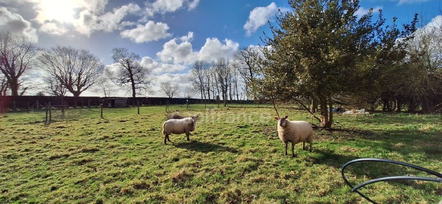  te koop huis Montivilliers Seine-Maritime 2