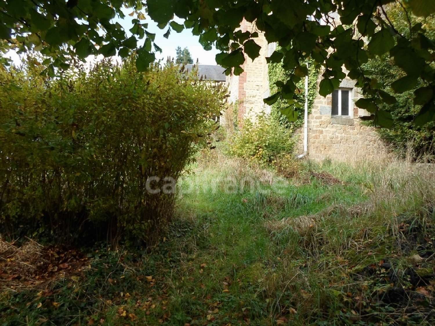  kaufen Haus Montsecret Orne 2