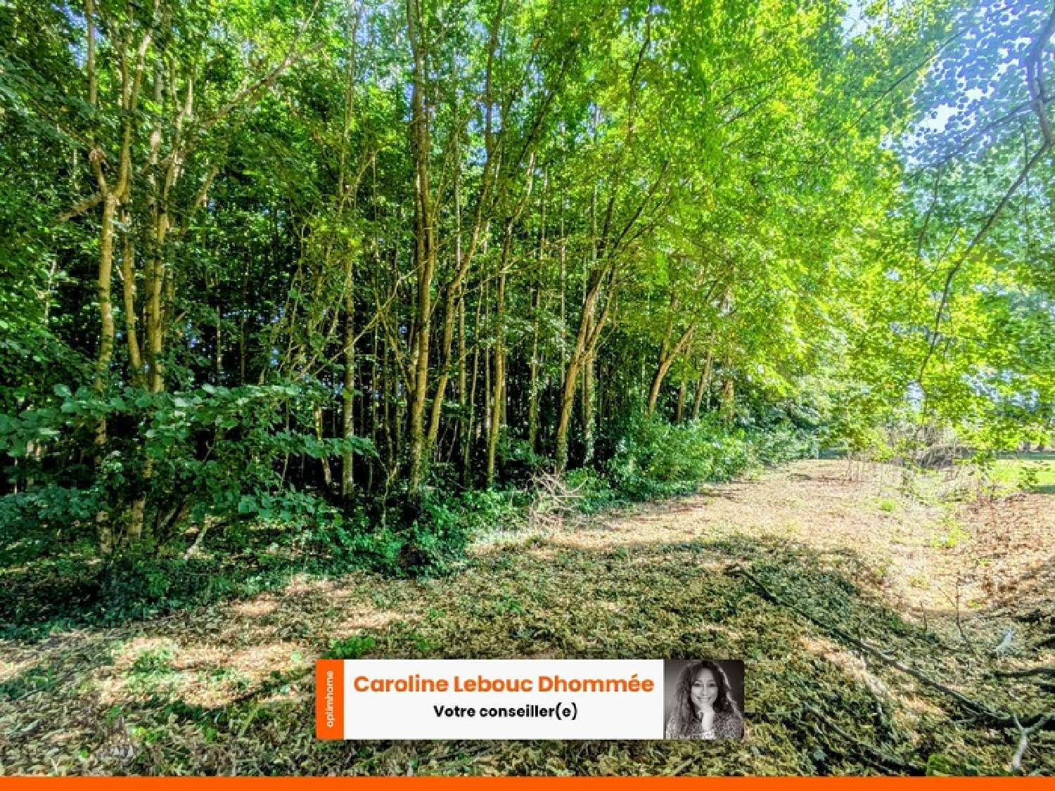  en venta casa Mortagne-au-Perche Orne 8