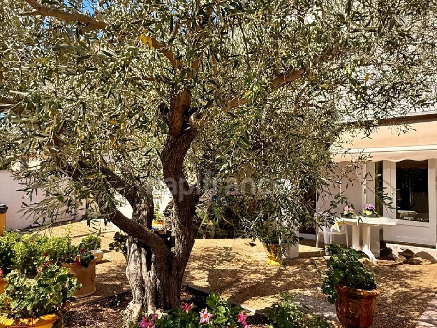  en venta casa Moulès Bocas del Ródano 2