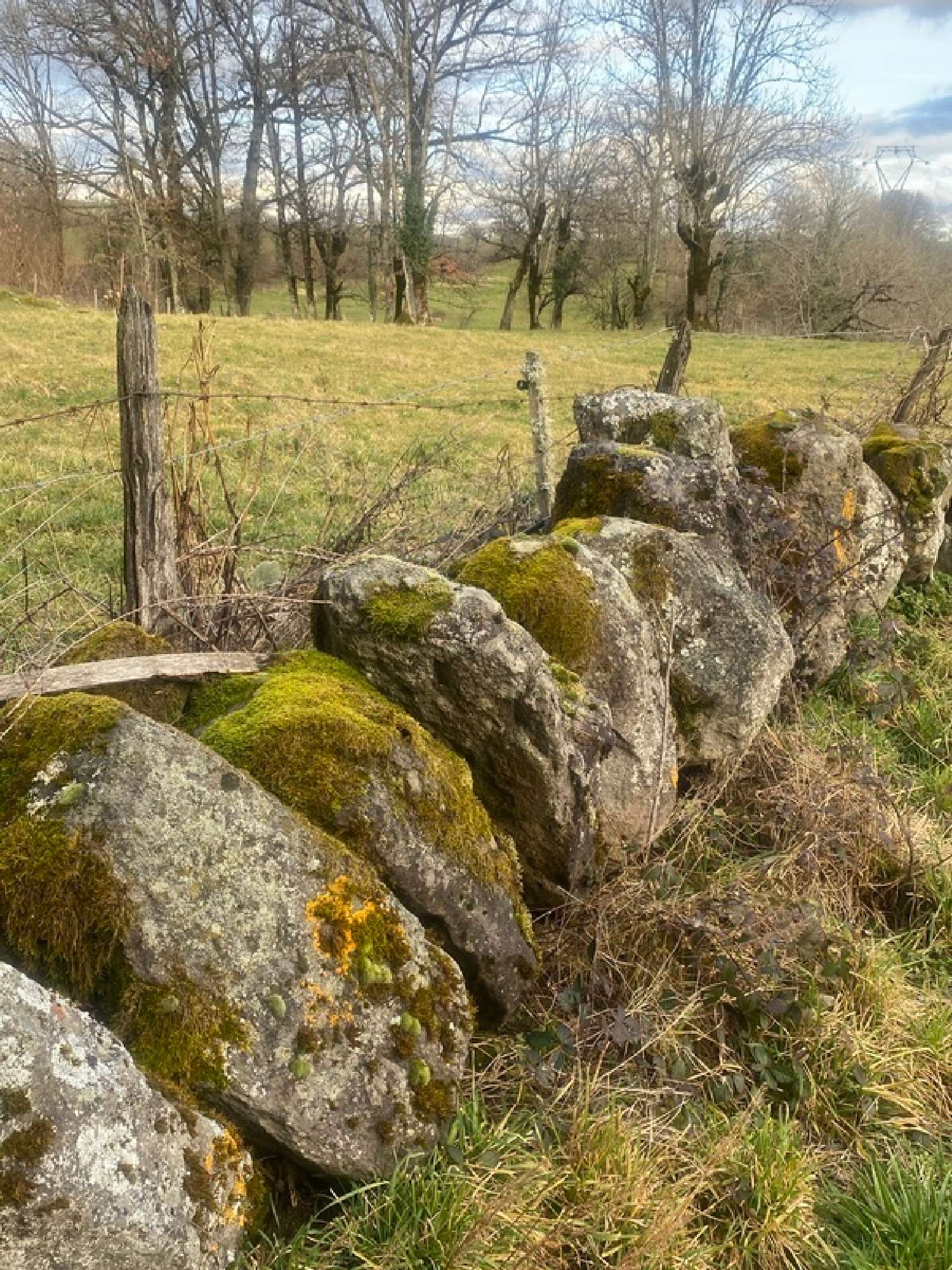  for sale house Mur-de-Barrez Aveyron 5
