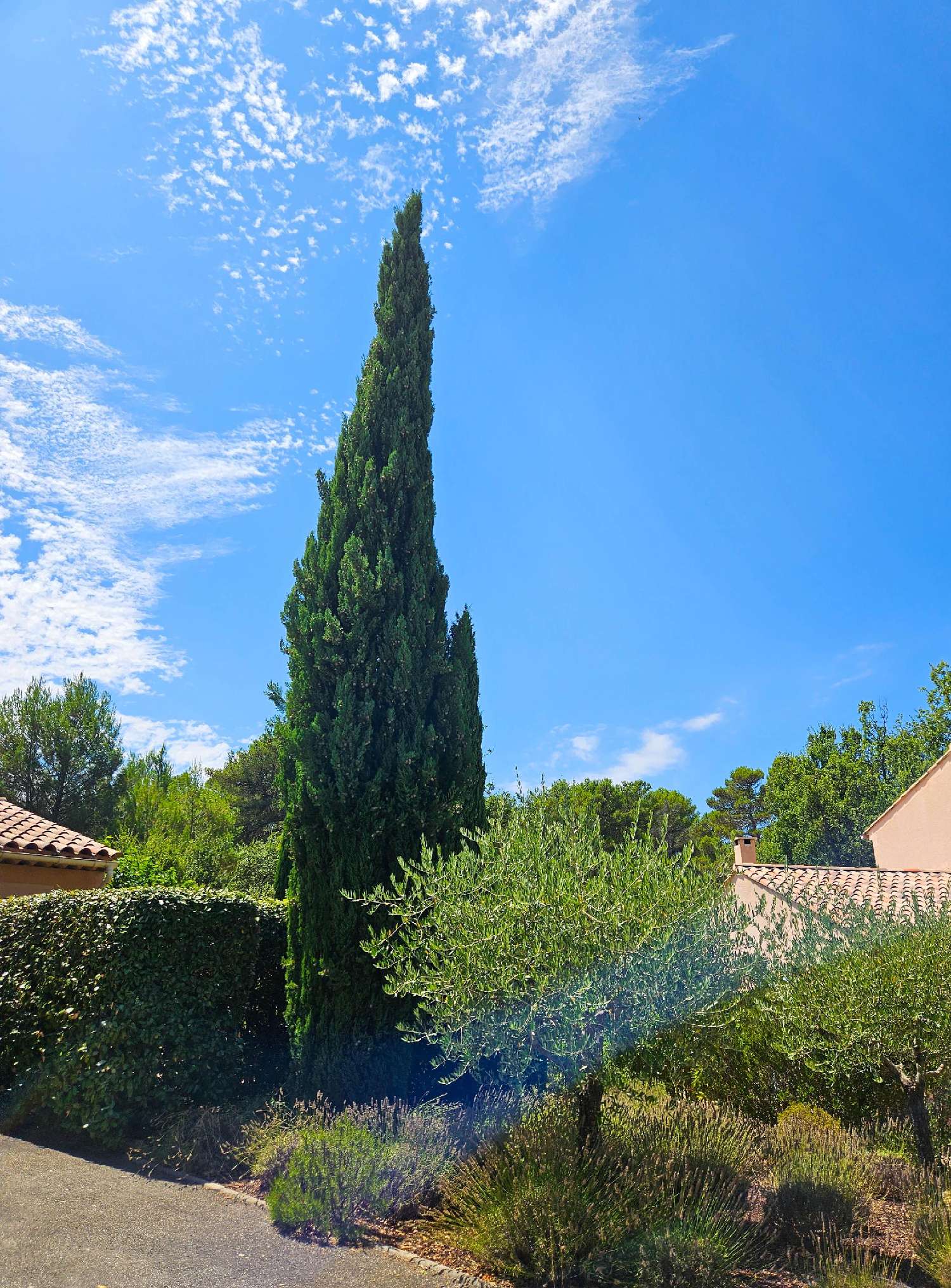  te koop huis Nans-les-Pins Var 6