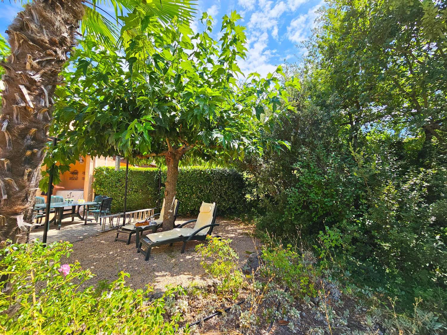  te koop huis Nans-les-Pins Var 9