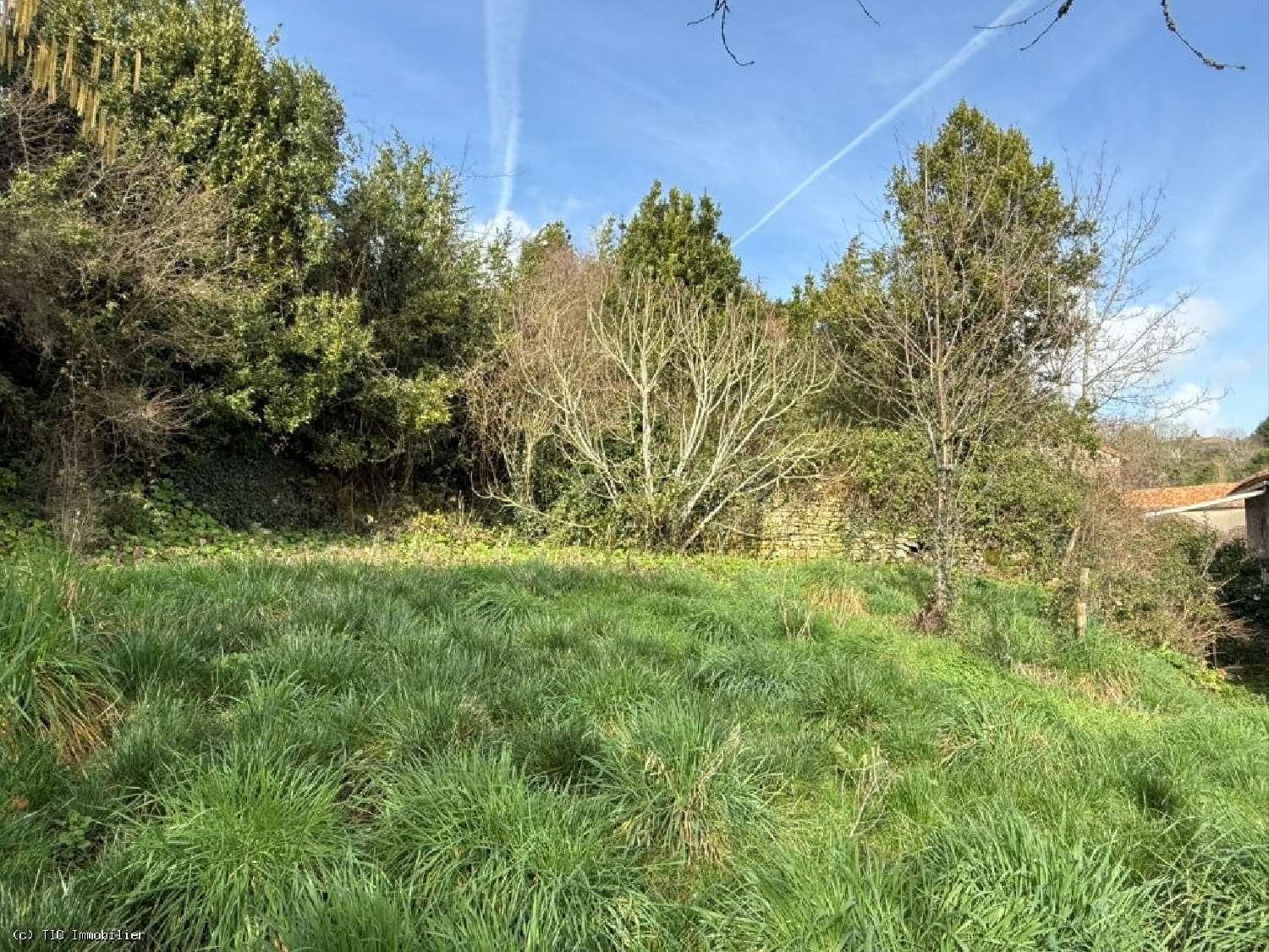  te koop huis Nanteuil-en-Vallée Charente 6