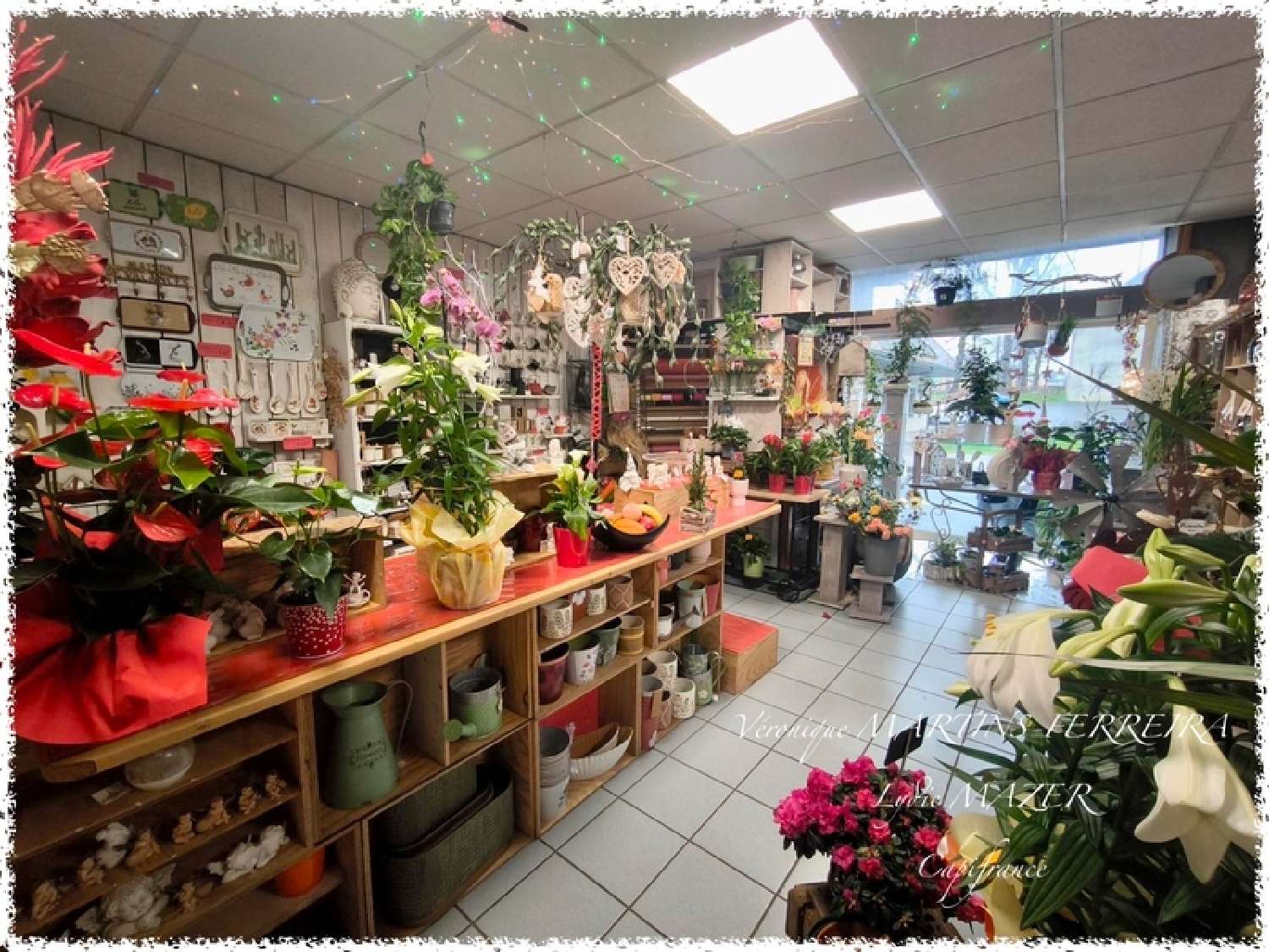  te koop huis Nérondes Cher 2