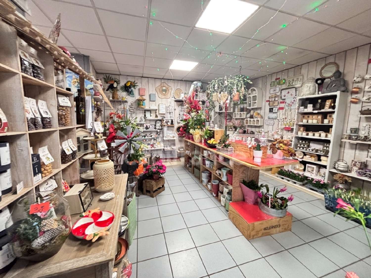  te koop huis Nérondes Cher 1