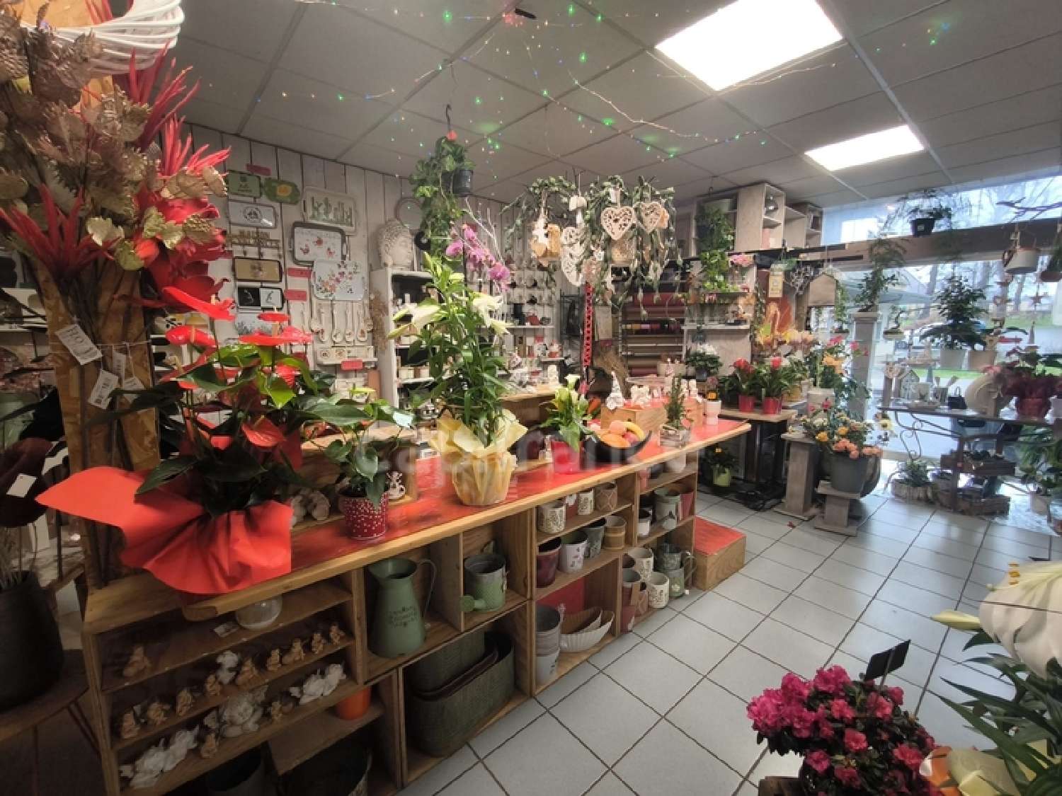  te koop huis Nérondes Cher 2