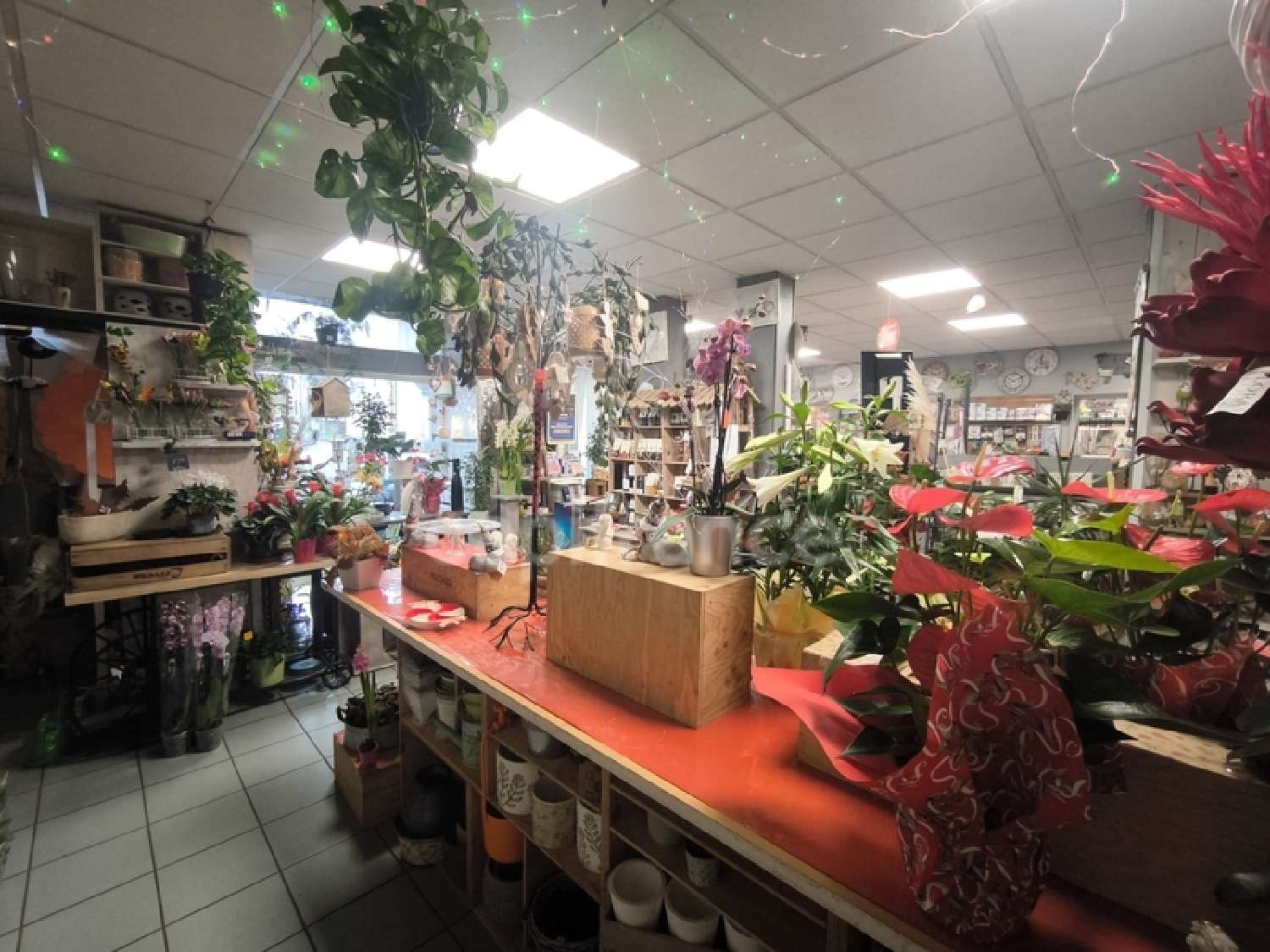  te koop huis Nérondes Cher 3